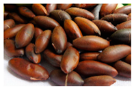 Plants 09 01299 i004