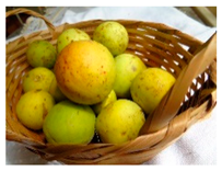 Plants 09 01299 i005