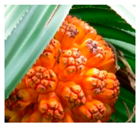 Plants 09 01299 i018