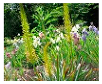 Plants 09 01299 i020