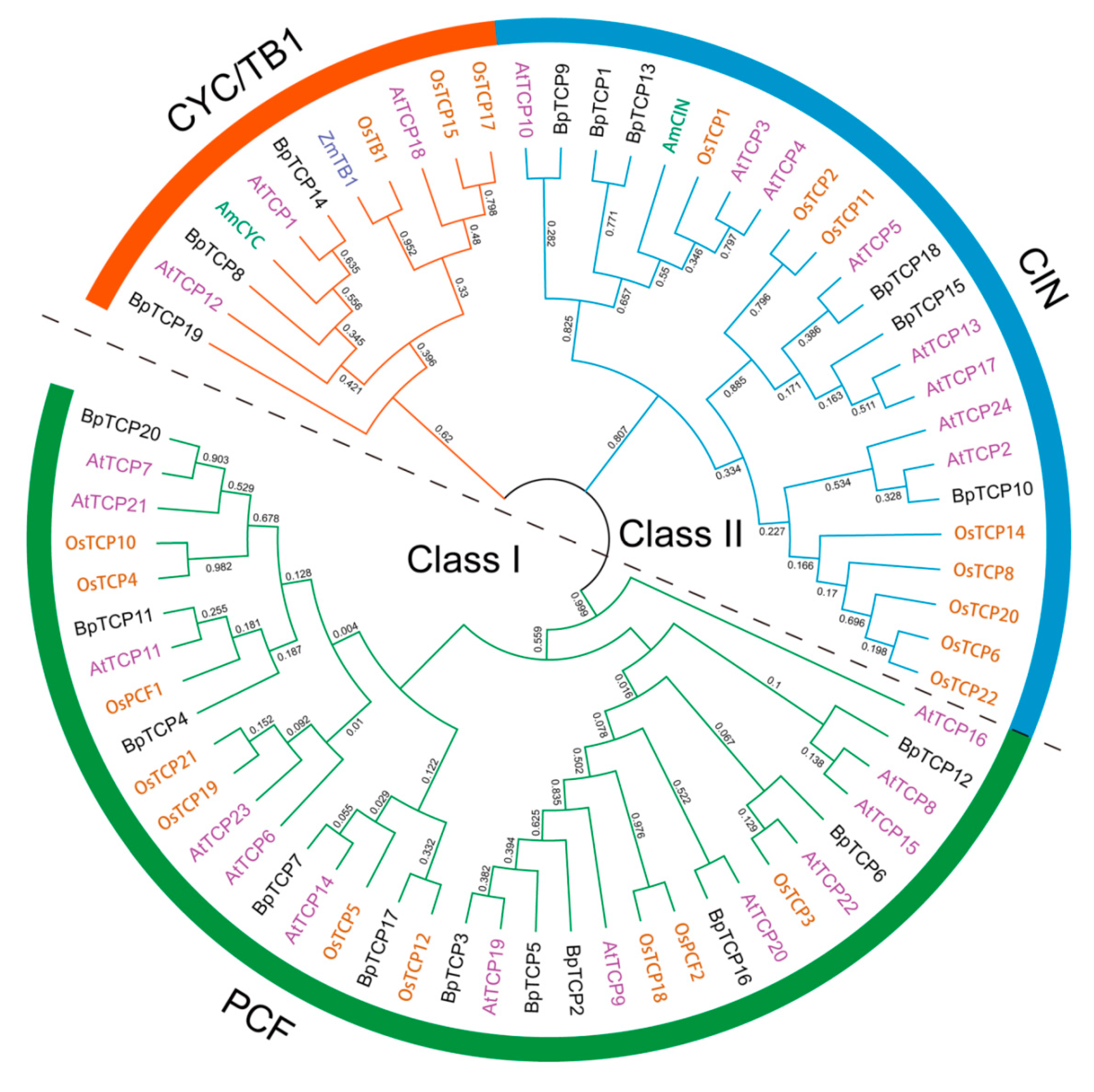 Plants 09 01301 g001