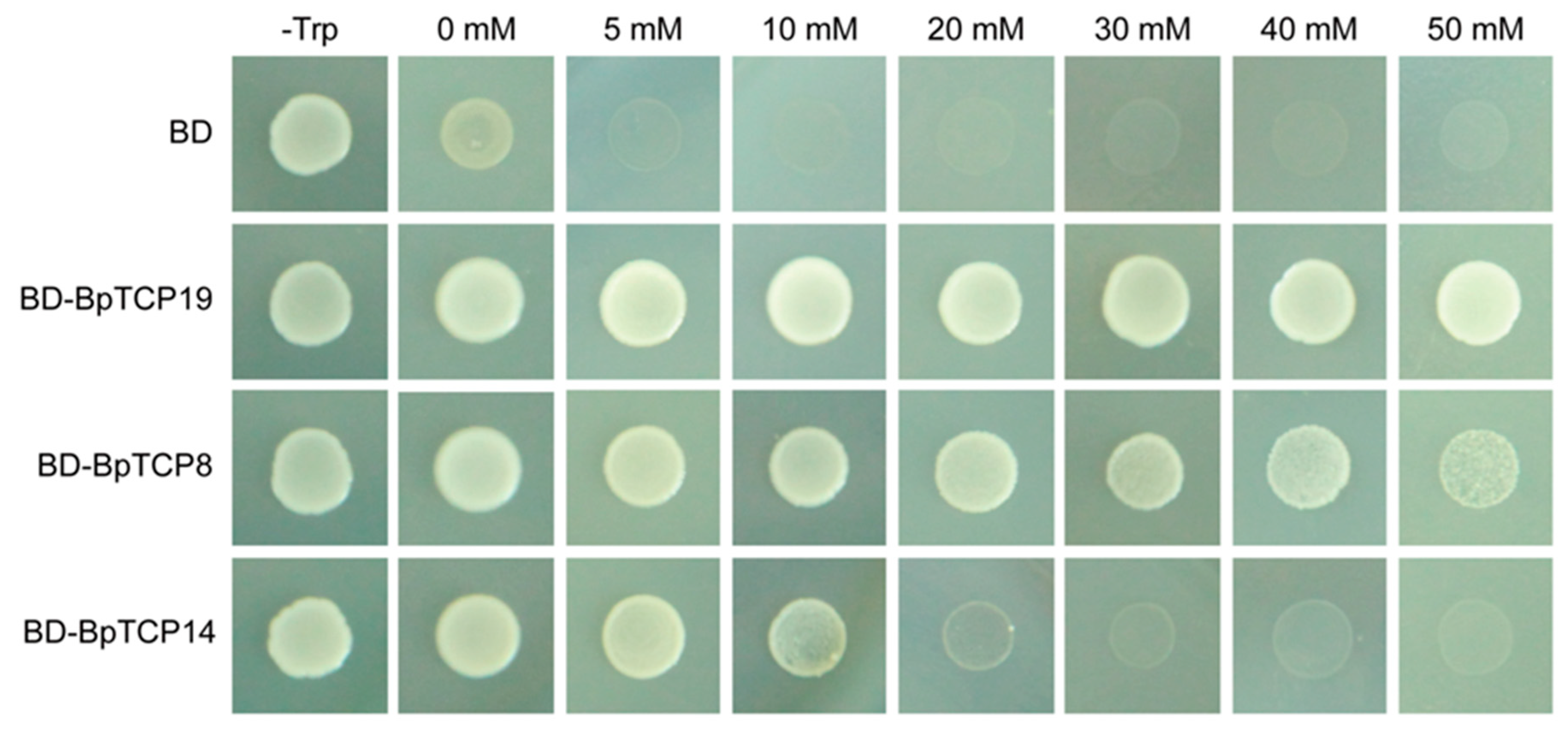 Plants 09 01301 g007