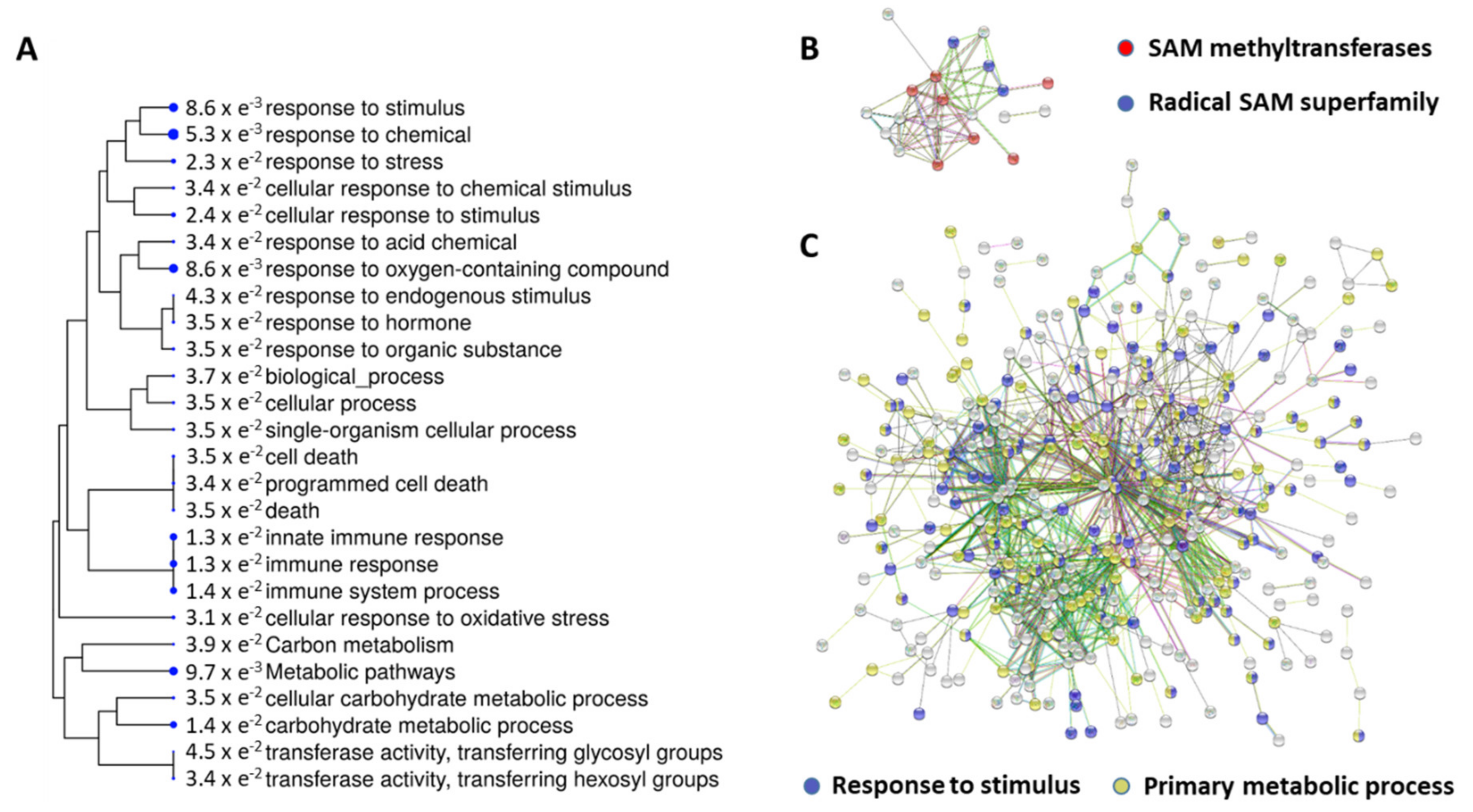 Plants 09 01308 g001 Plants 09 01308 g001