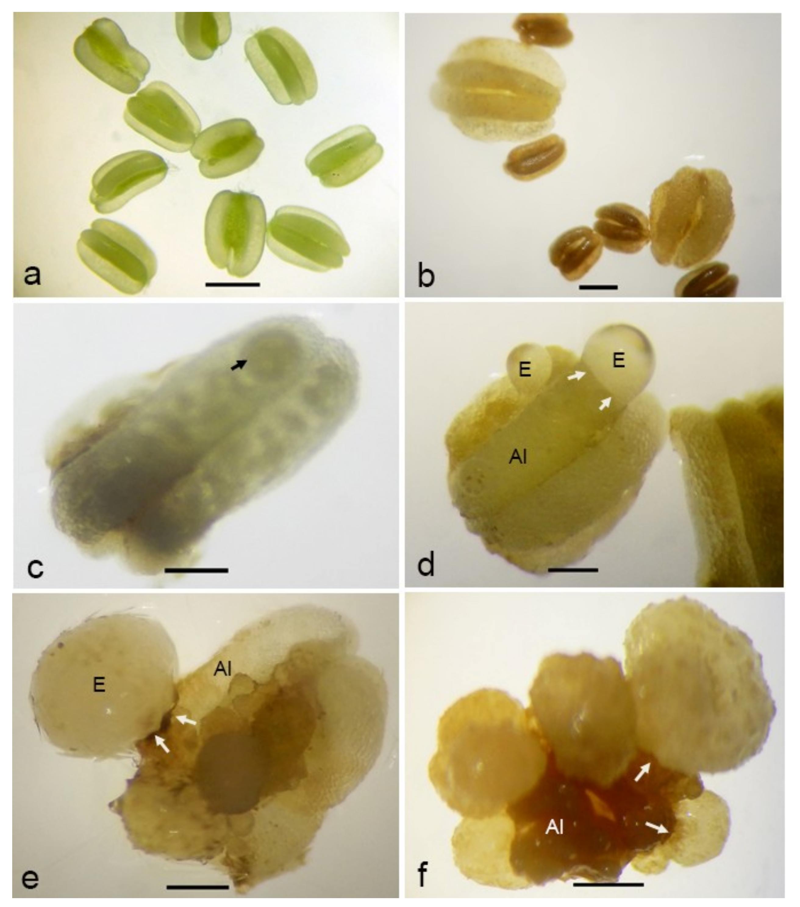 Plants 09 01315 g004 Plants 09 01315 g004