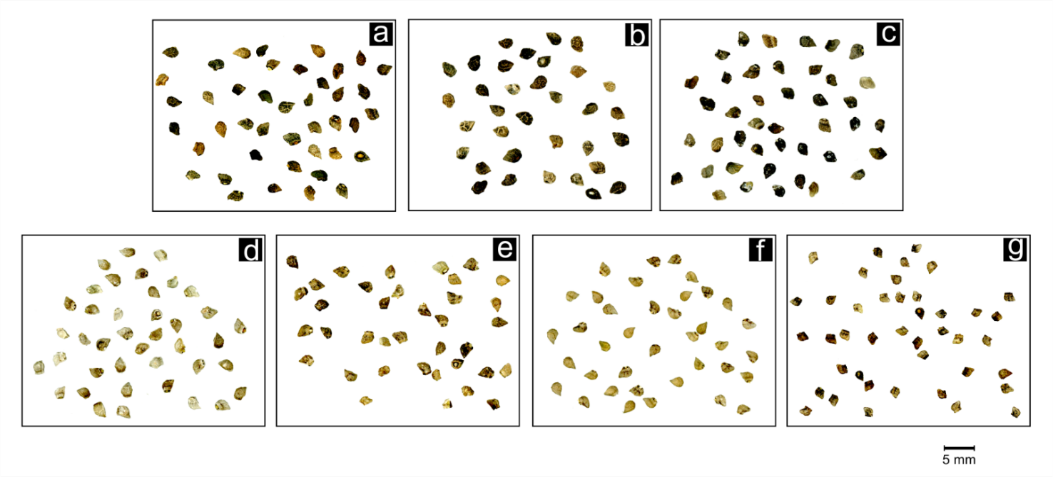 Plants 09 01321 g005