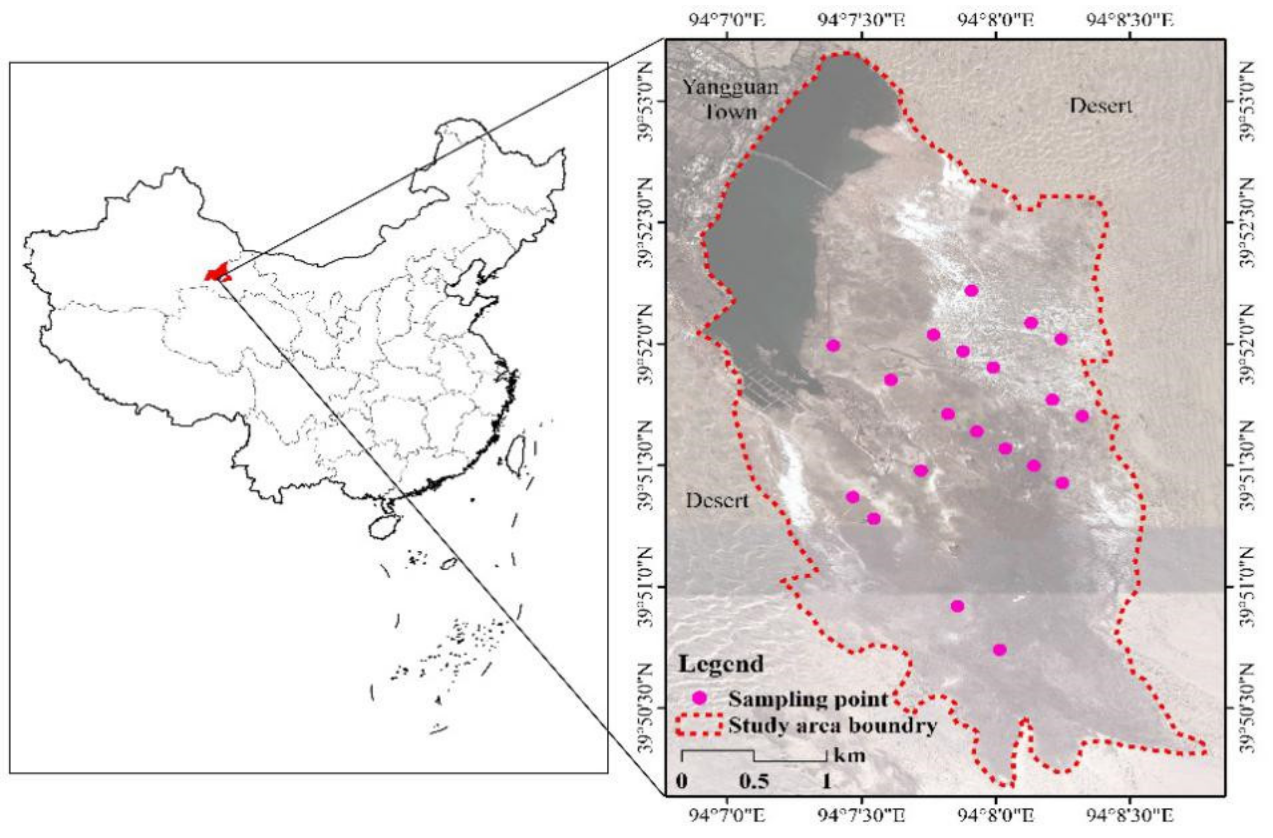 Plants 09 01323 g003
