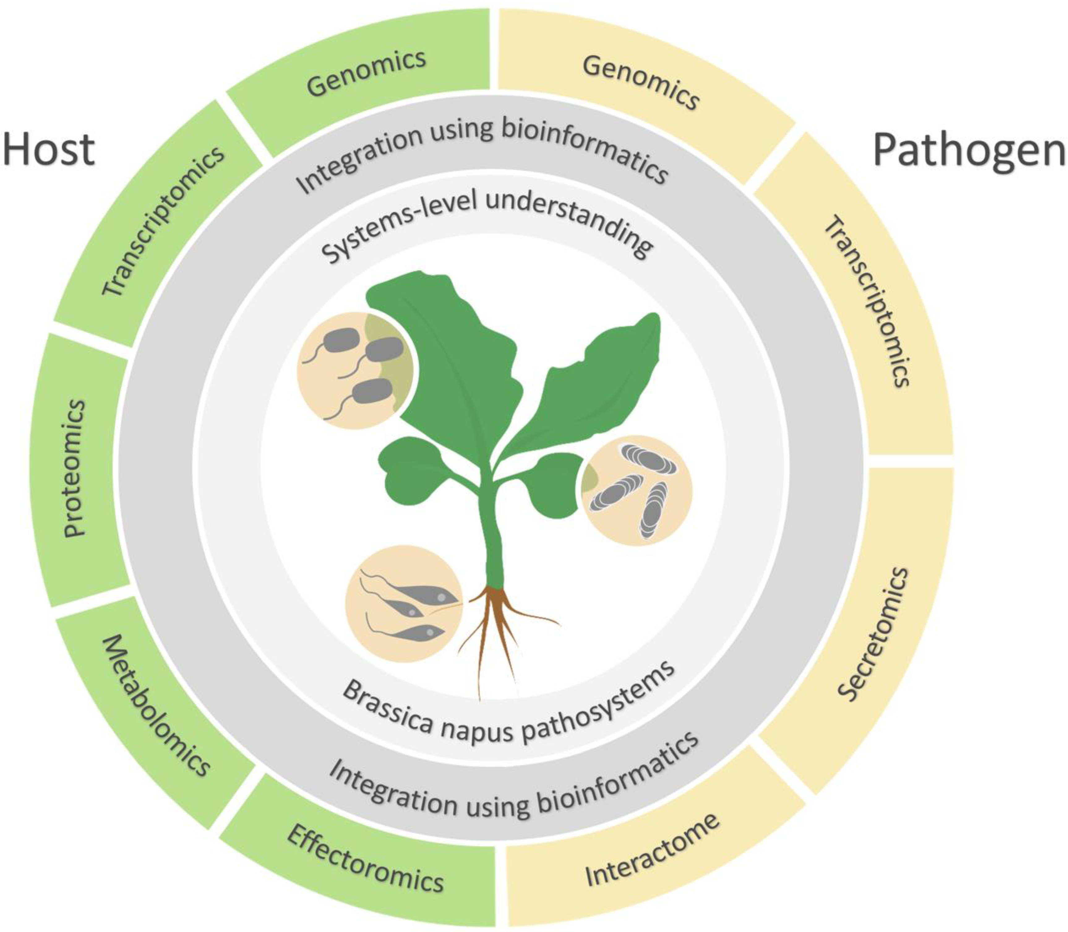 Plants 09 01336 g001