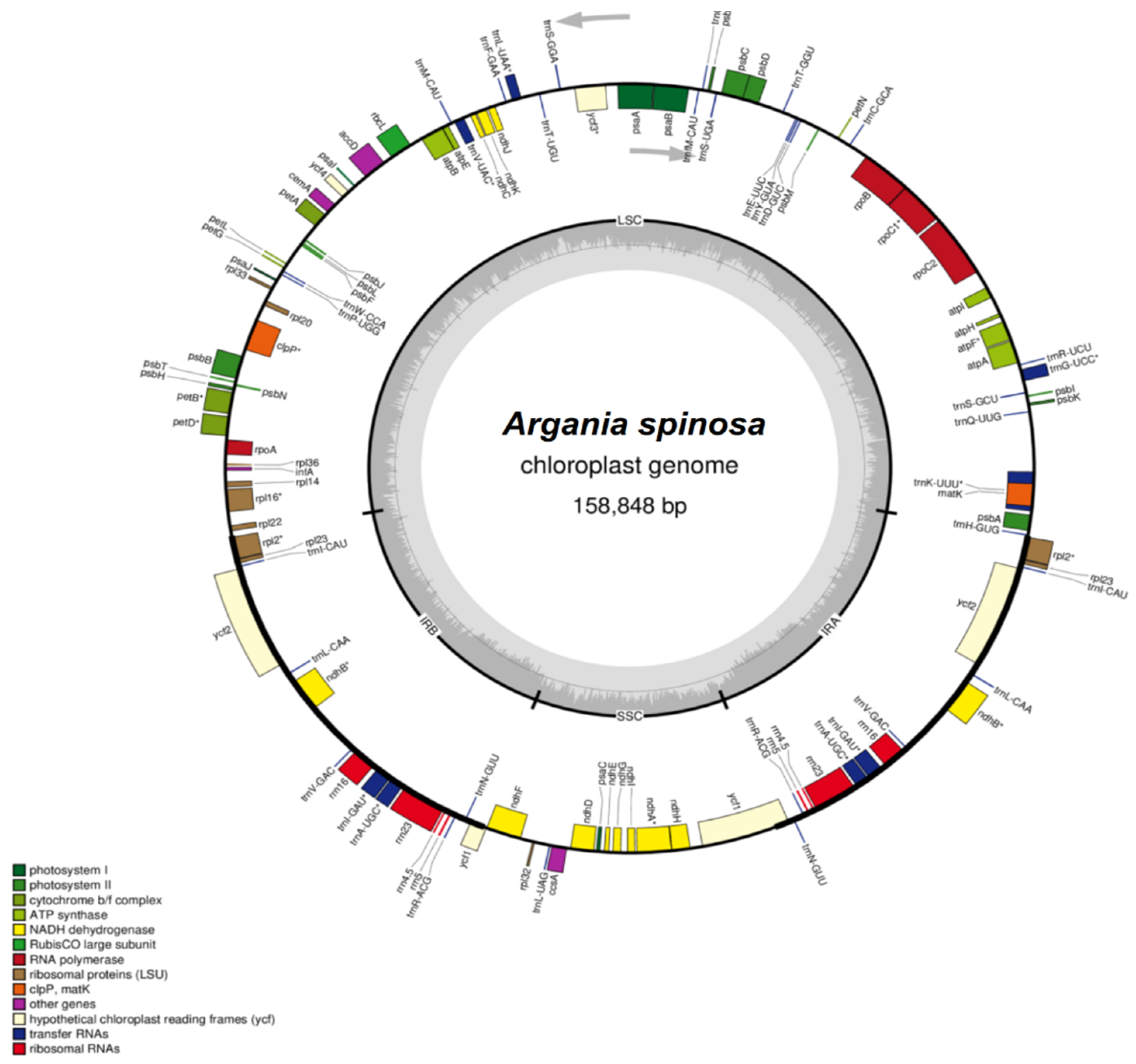 Plants 09 01354 g001 Plants 09 01354 g001