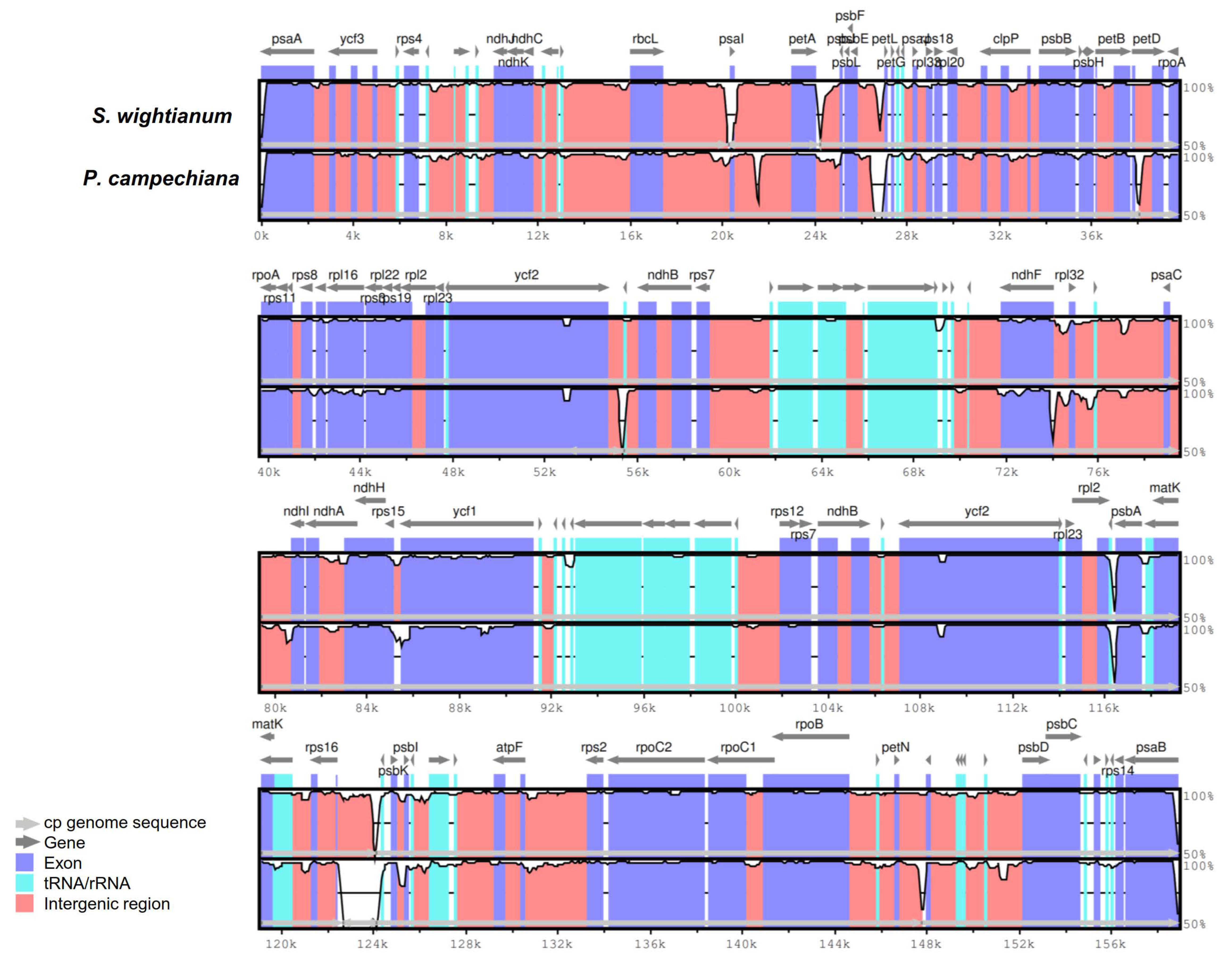 Plants 09 01354 g003 Plants 09 01354 g003
