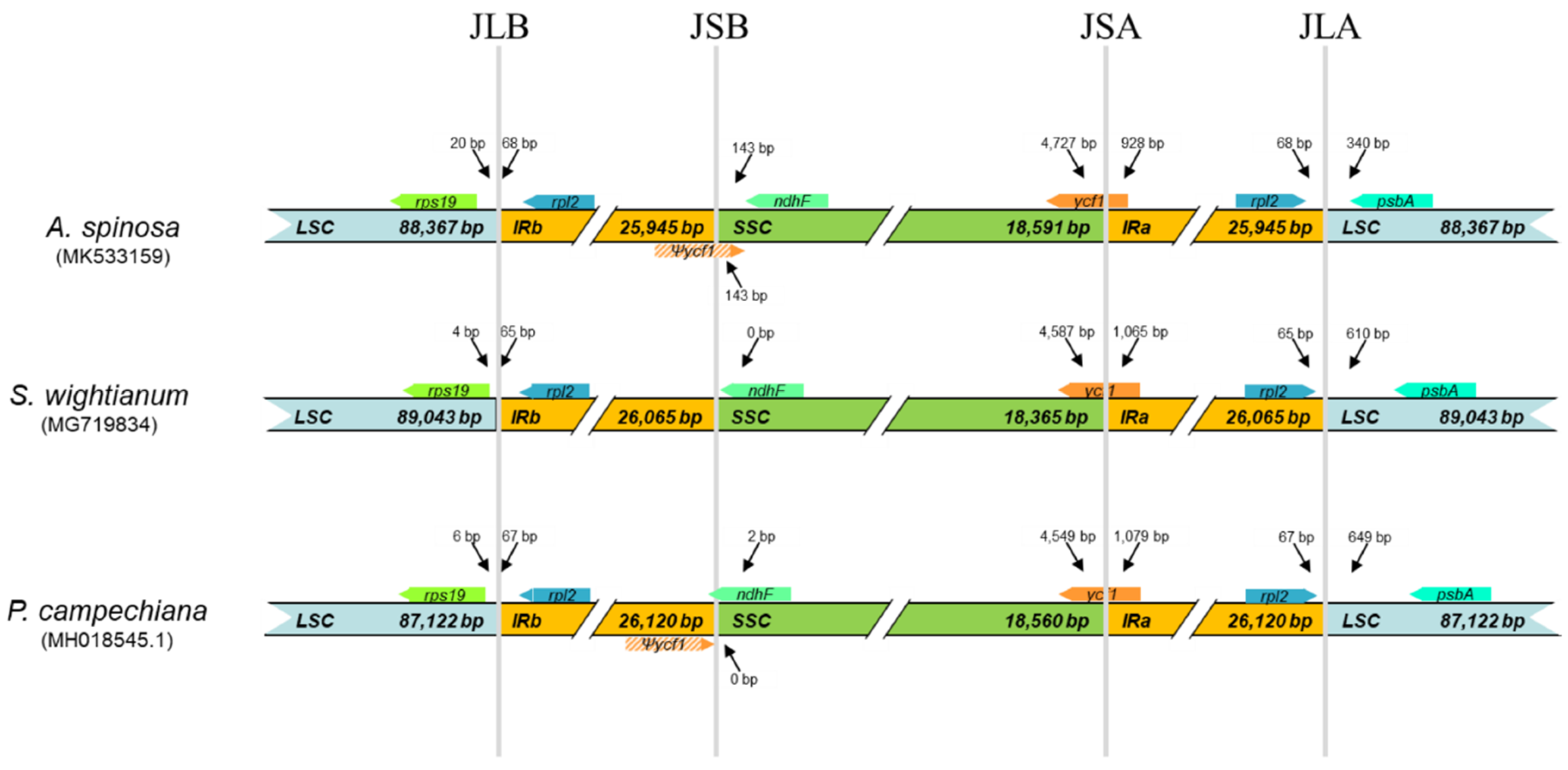 Plants 09 01354 g004 Plants 09 01354 g004