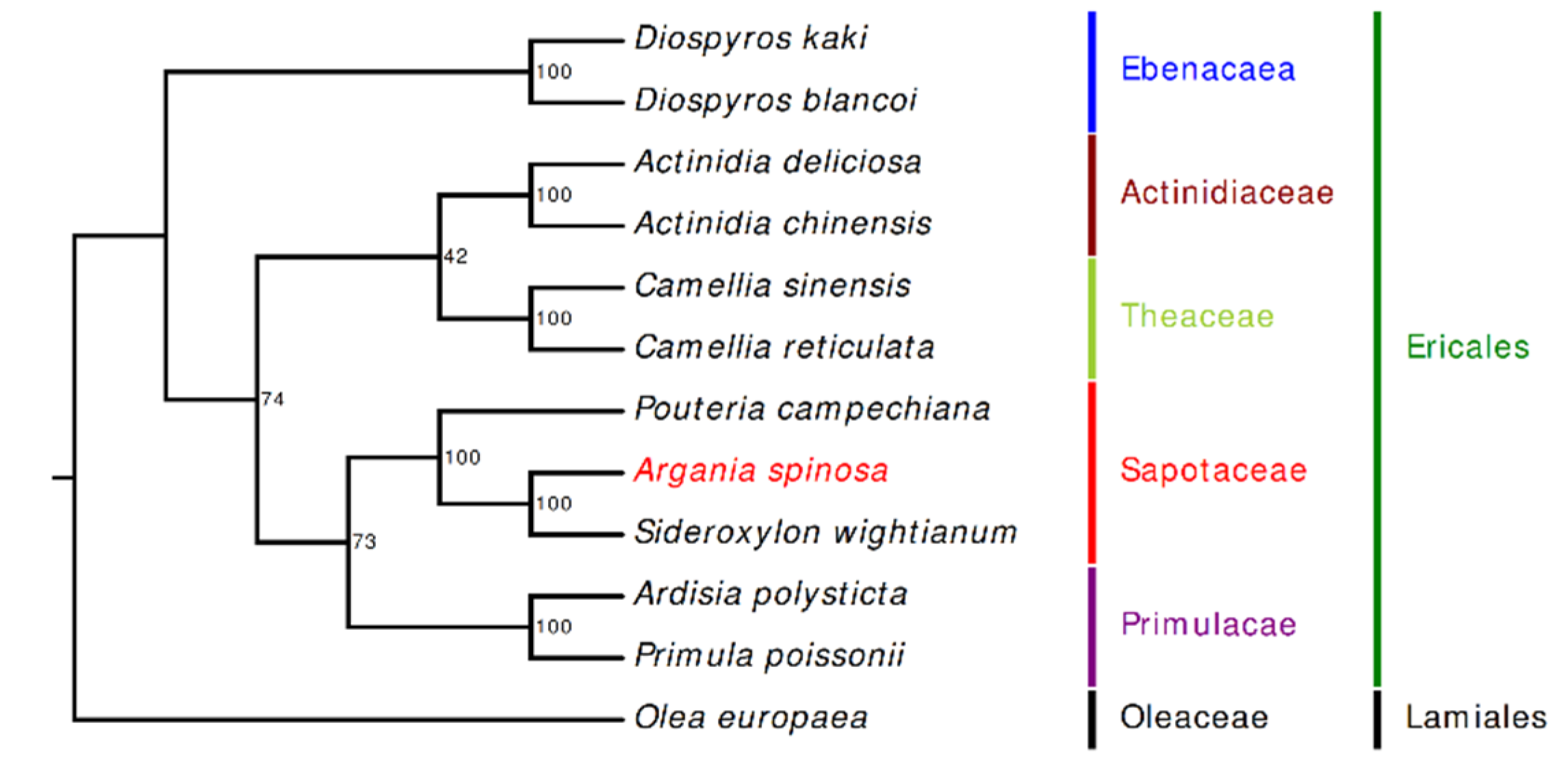 Plants 09 01354 g008 Plants 09 01354 g008