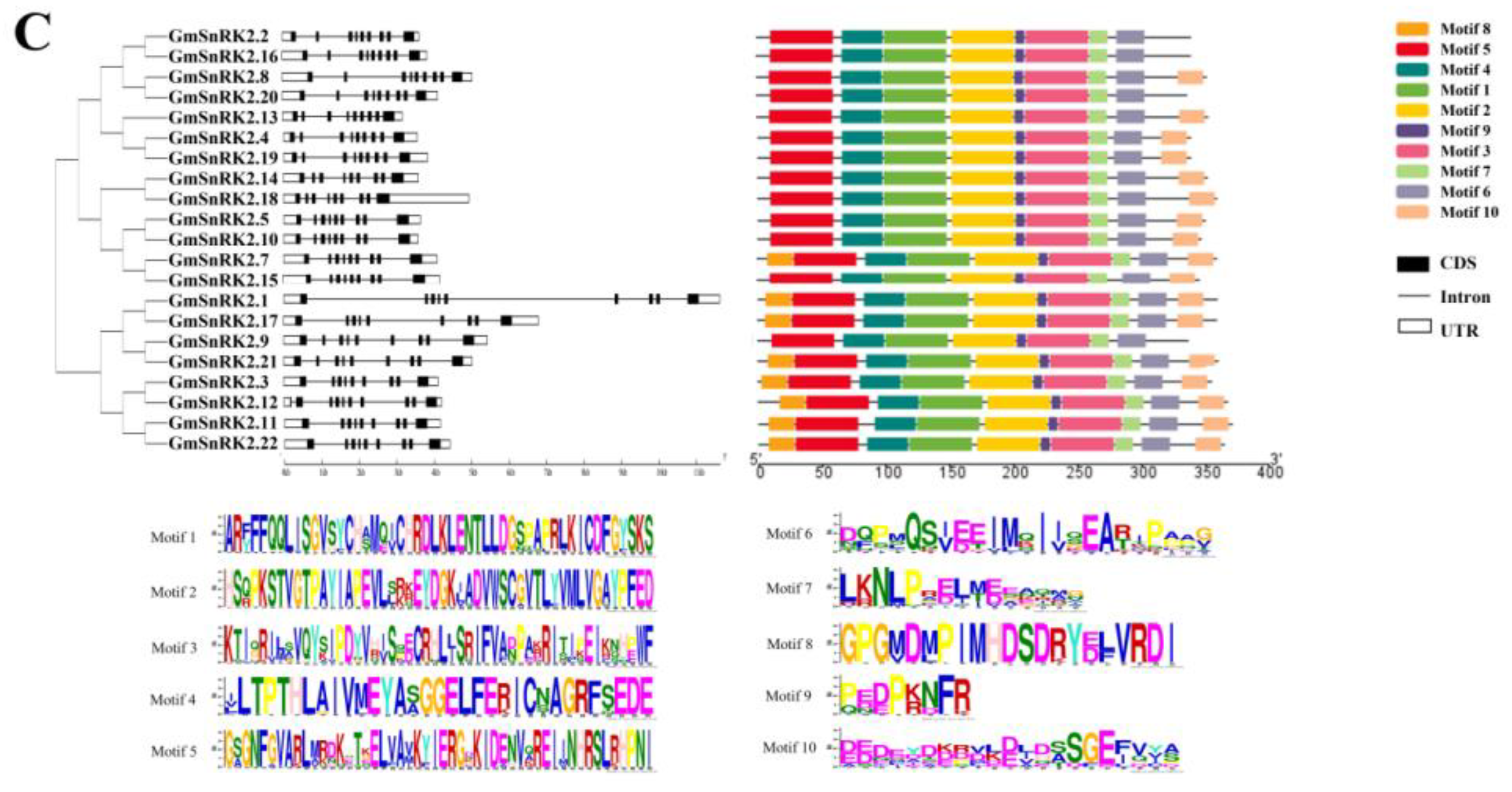 Plants 09 01356 g002b