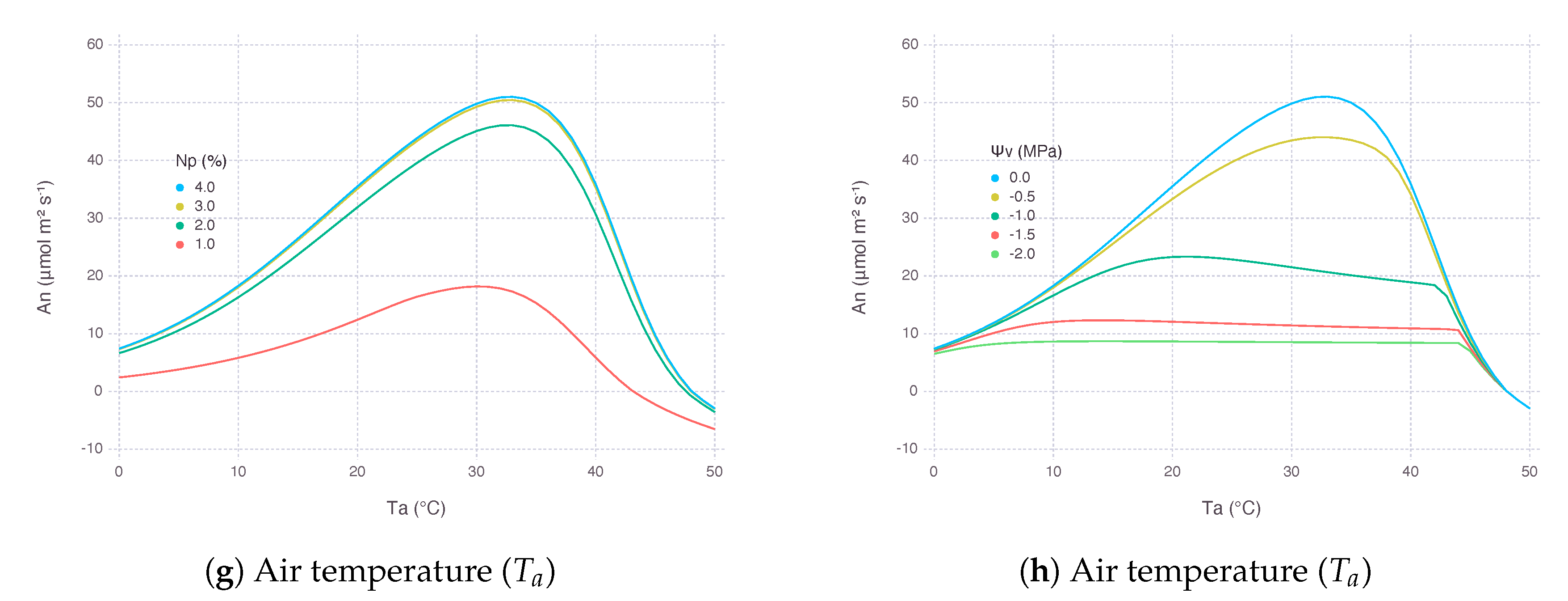 Plants 09 01358 g005b