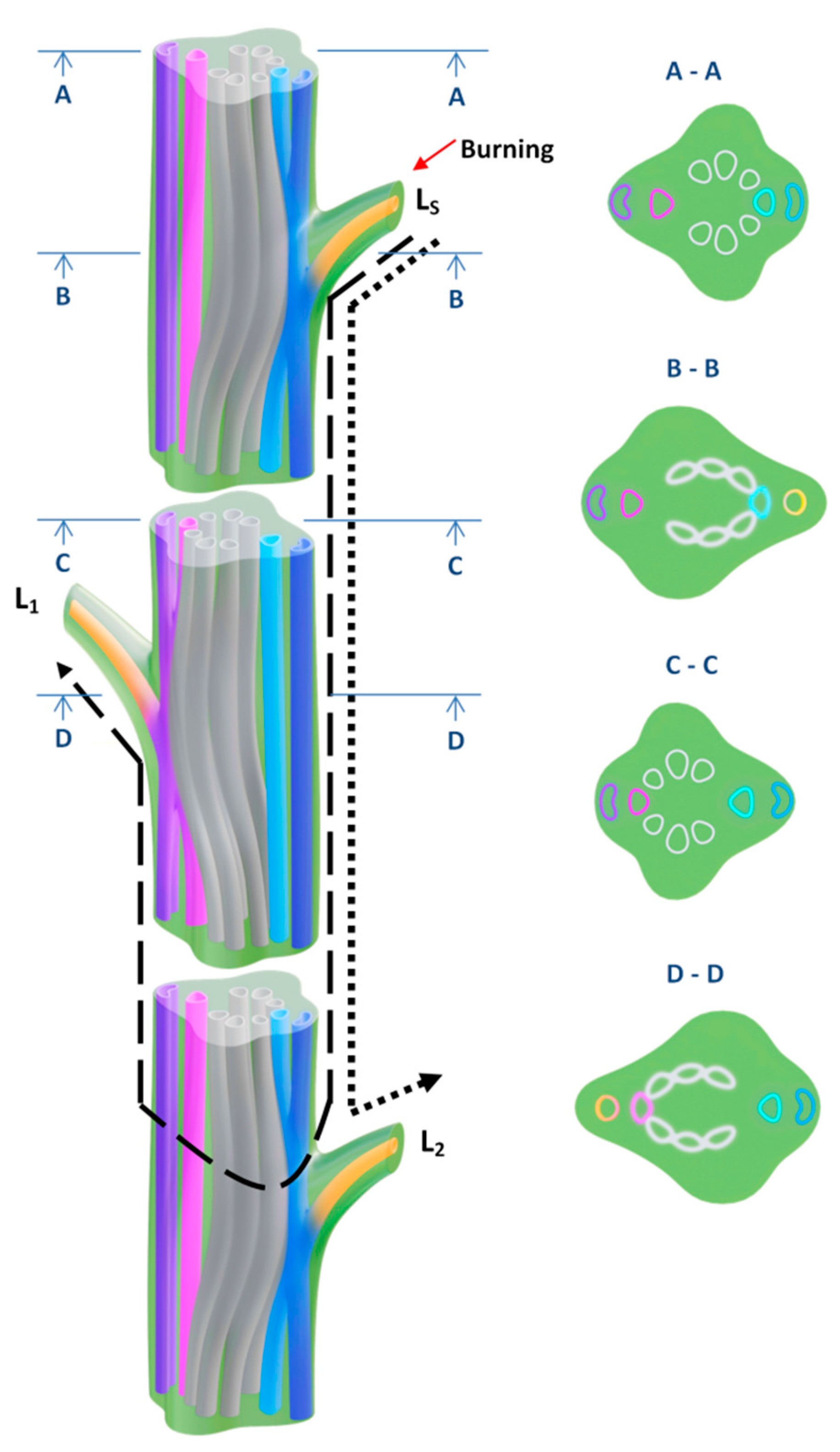 Plants 09 01364 g006 Plants 09 01364 g006