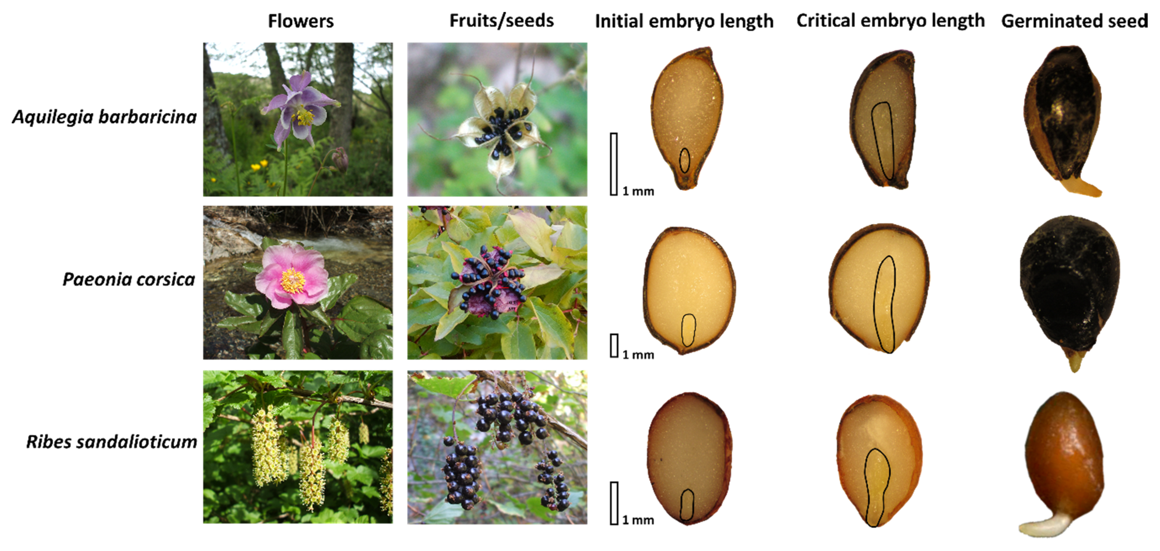 Plants 09 01382 g007