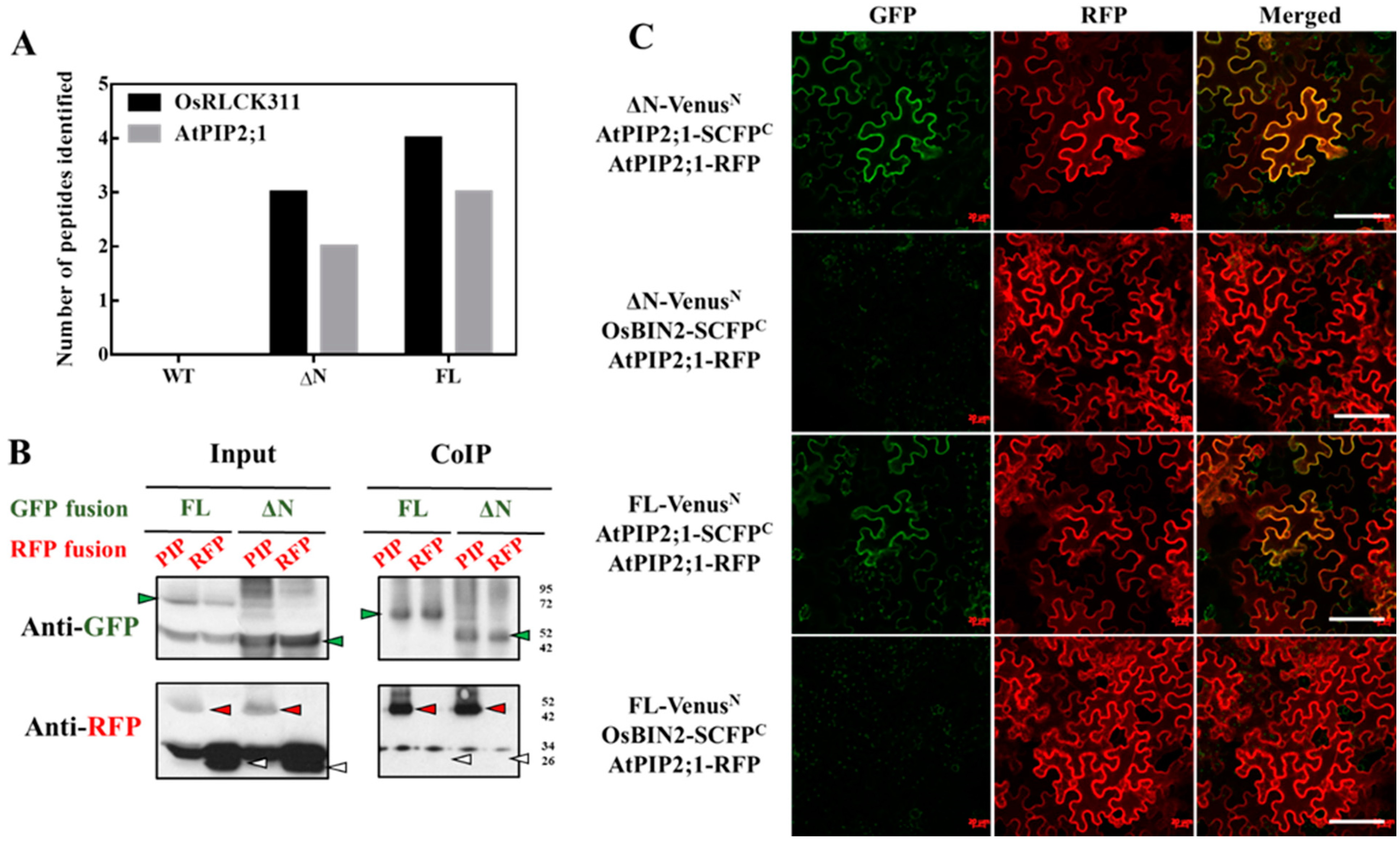 Plants 09 01383 g002