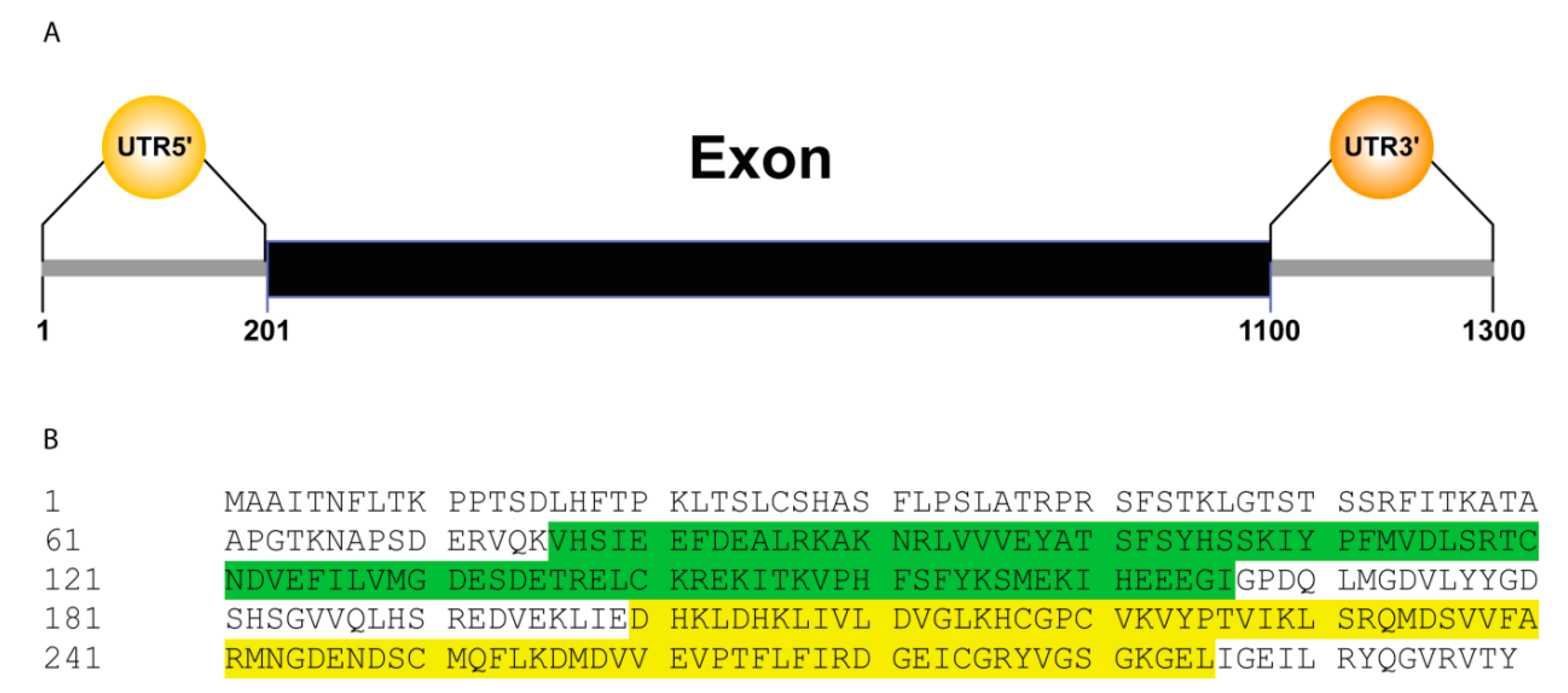 Plants 09 01388 g001