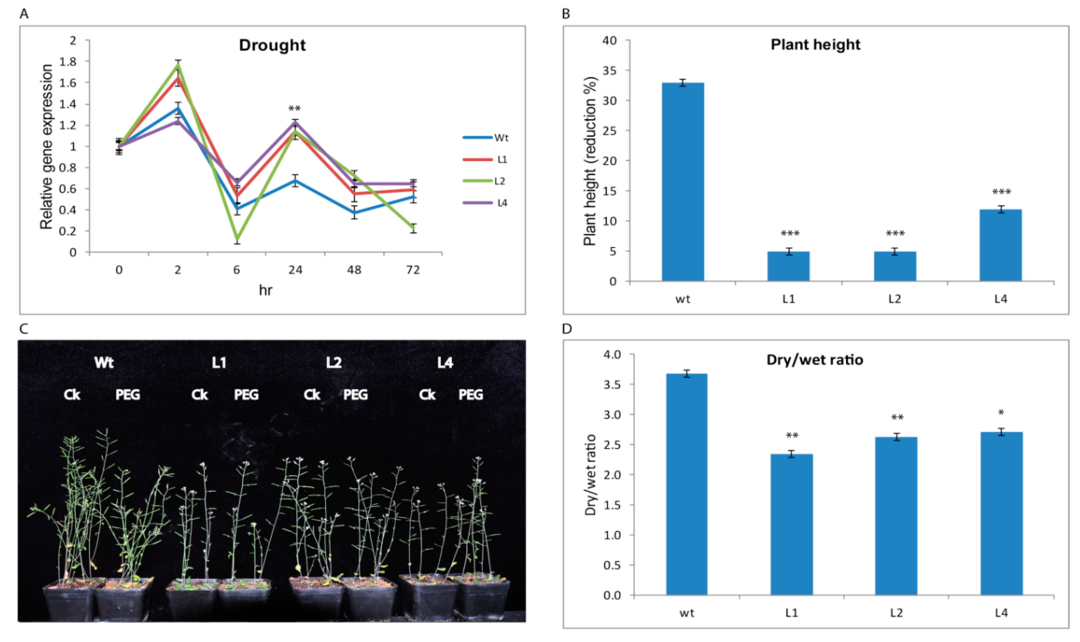 Plants 09 01388 g002