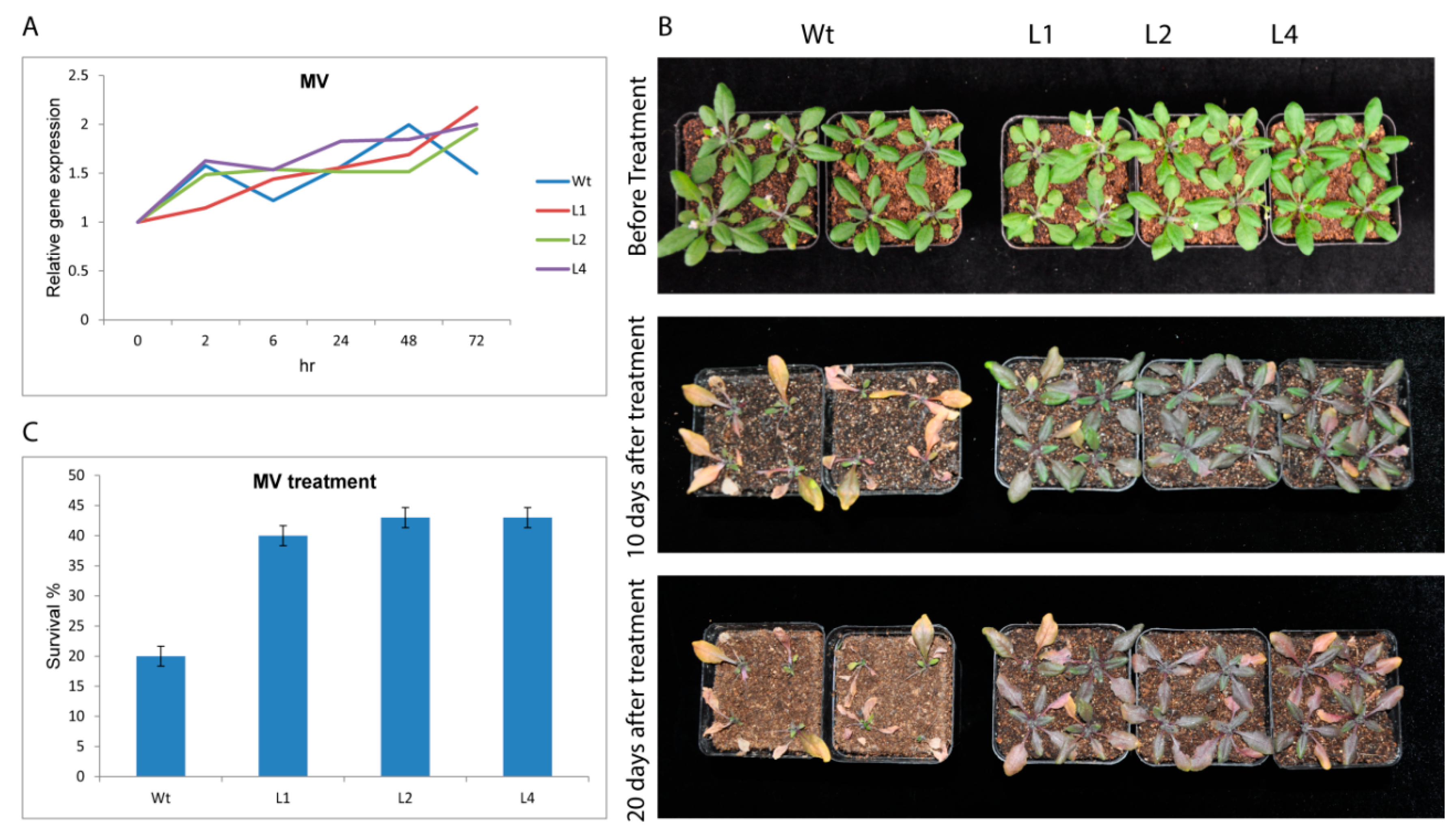 Plants 09 01388 g004