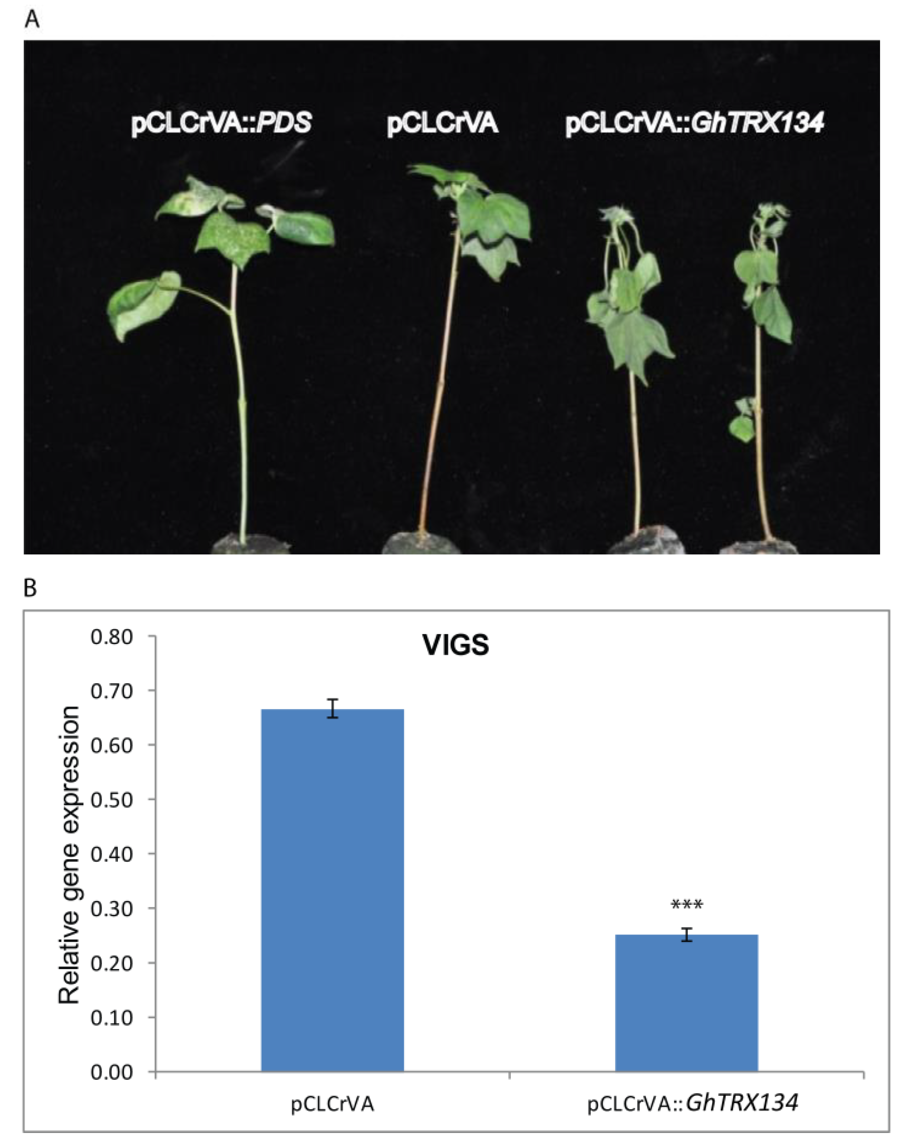 Plants 09 01388 g005