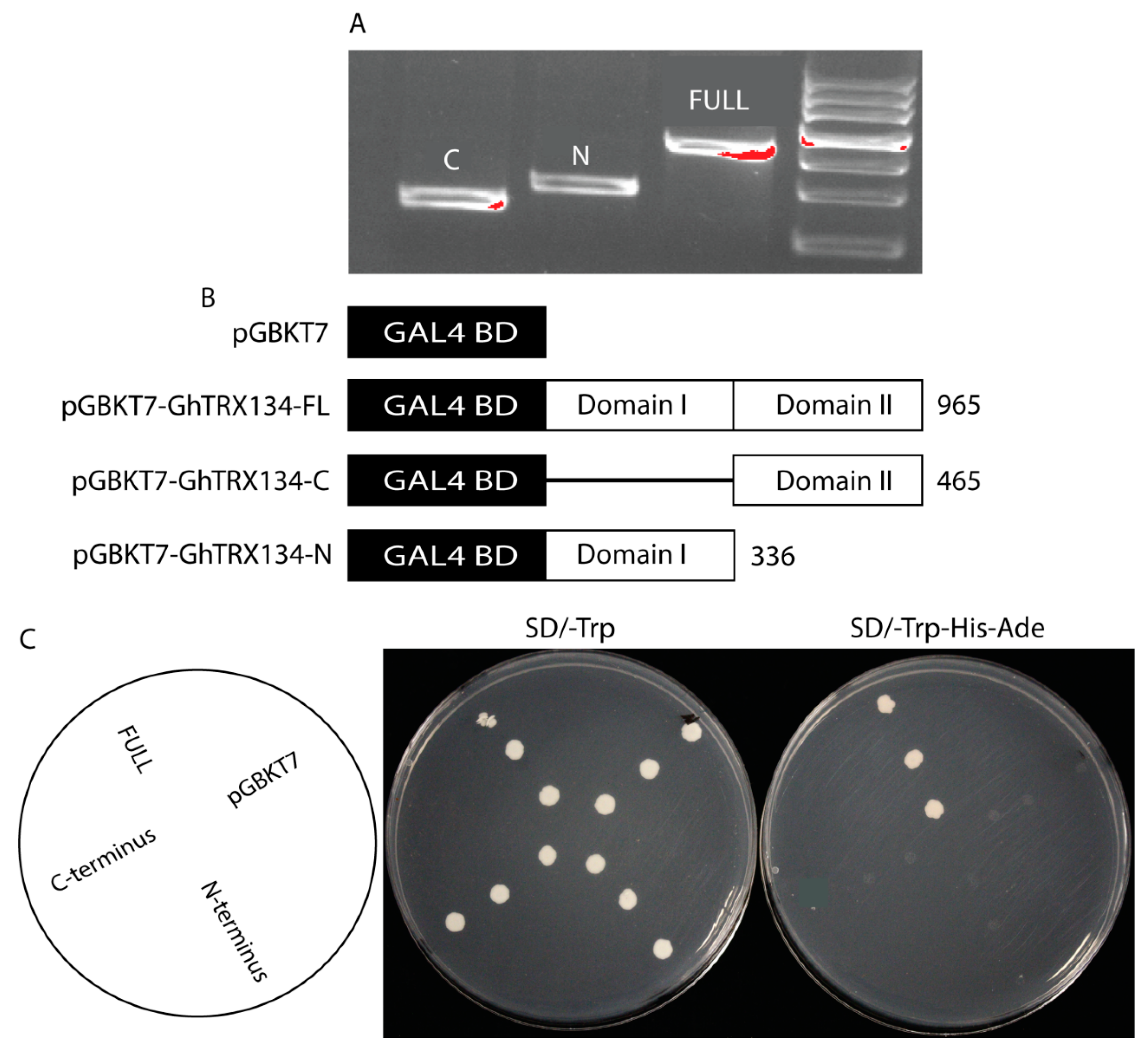 Plants 09 01388 g006