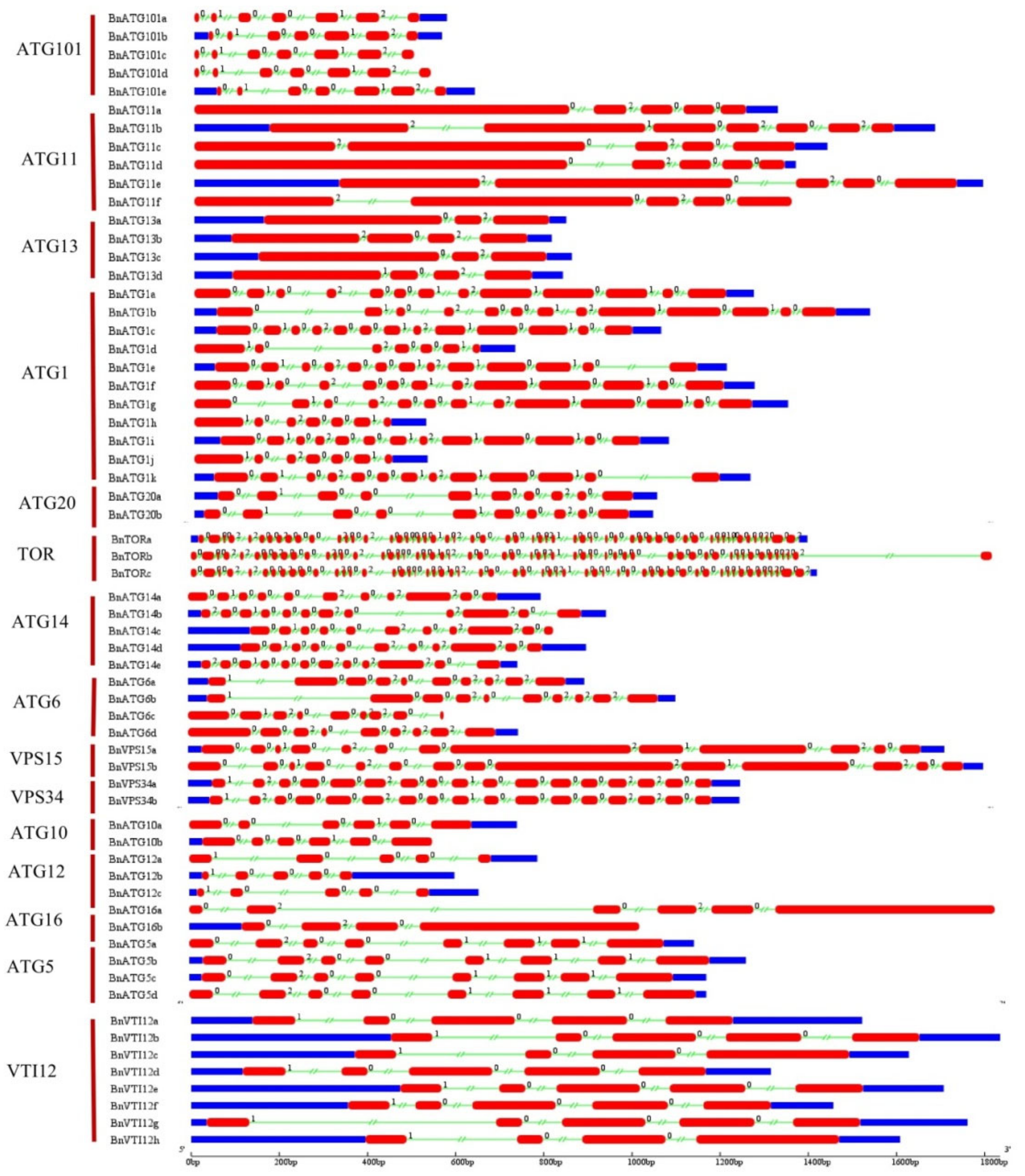Plants 09 01393 g004