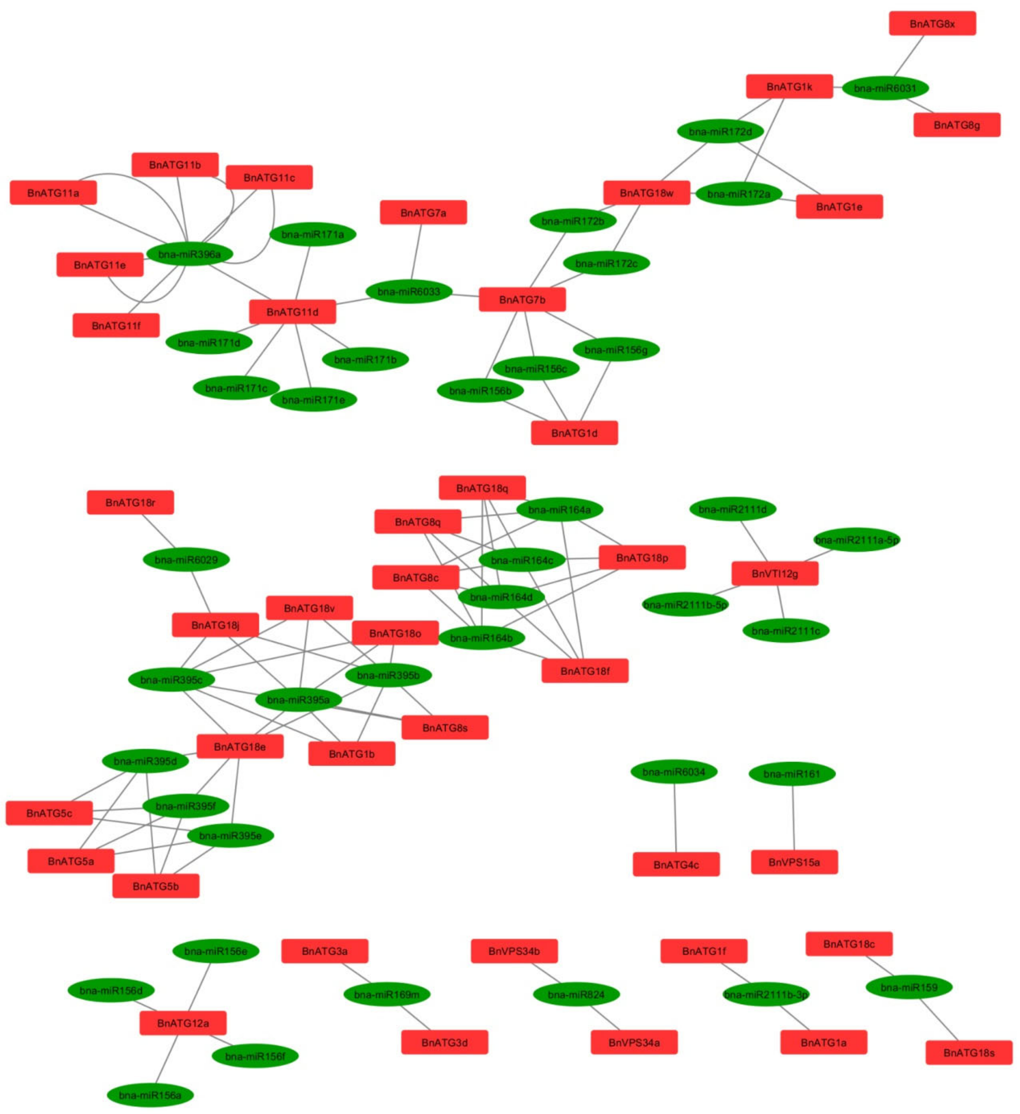 Plants 09 01393 g009