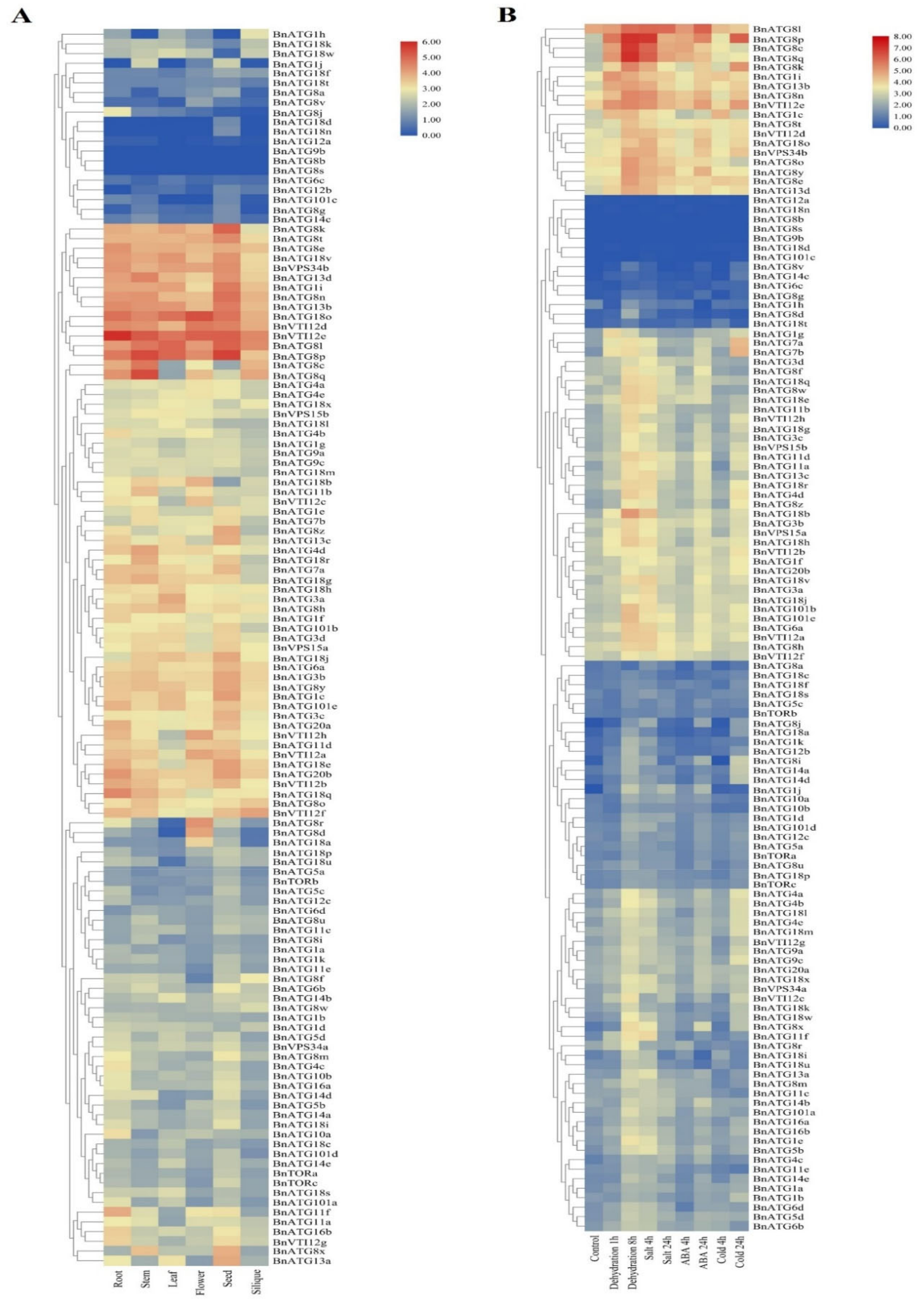 Plants 09 01393 g010