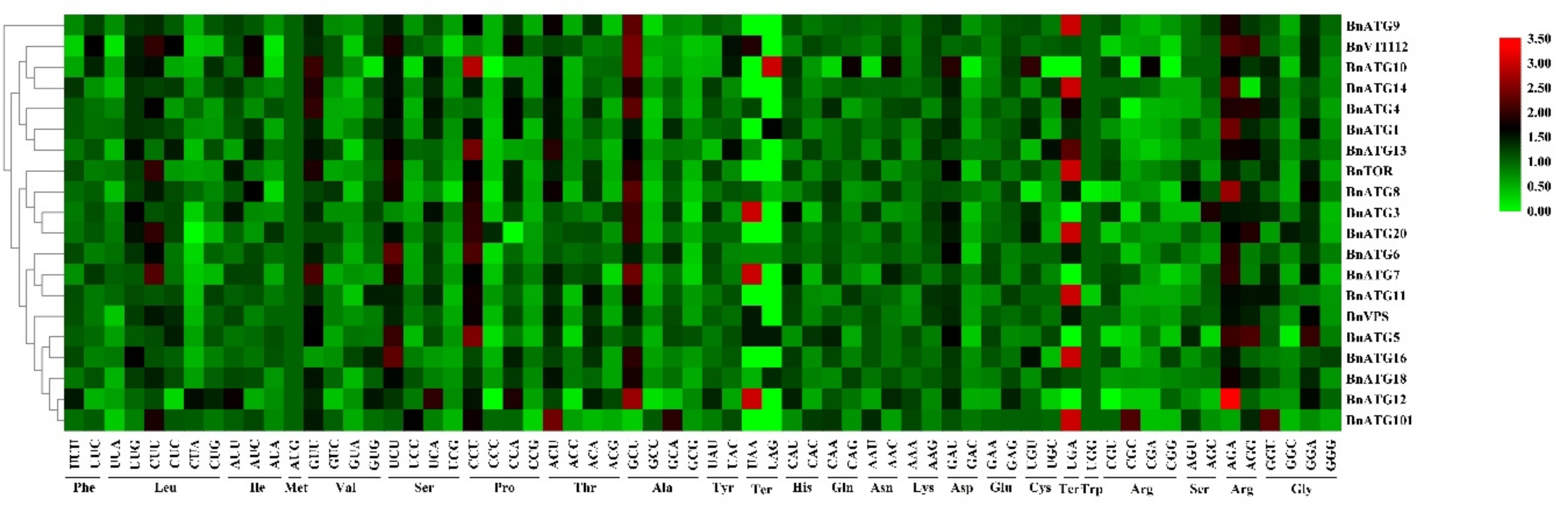 Plants 09 01393 g011
