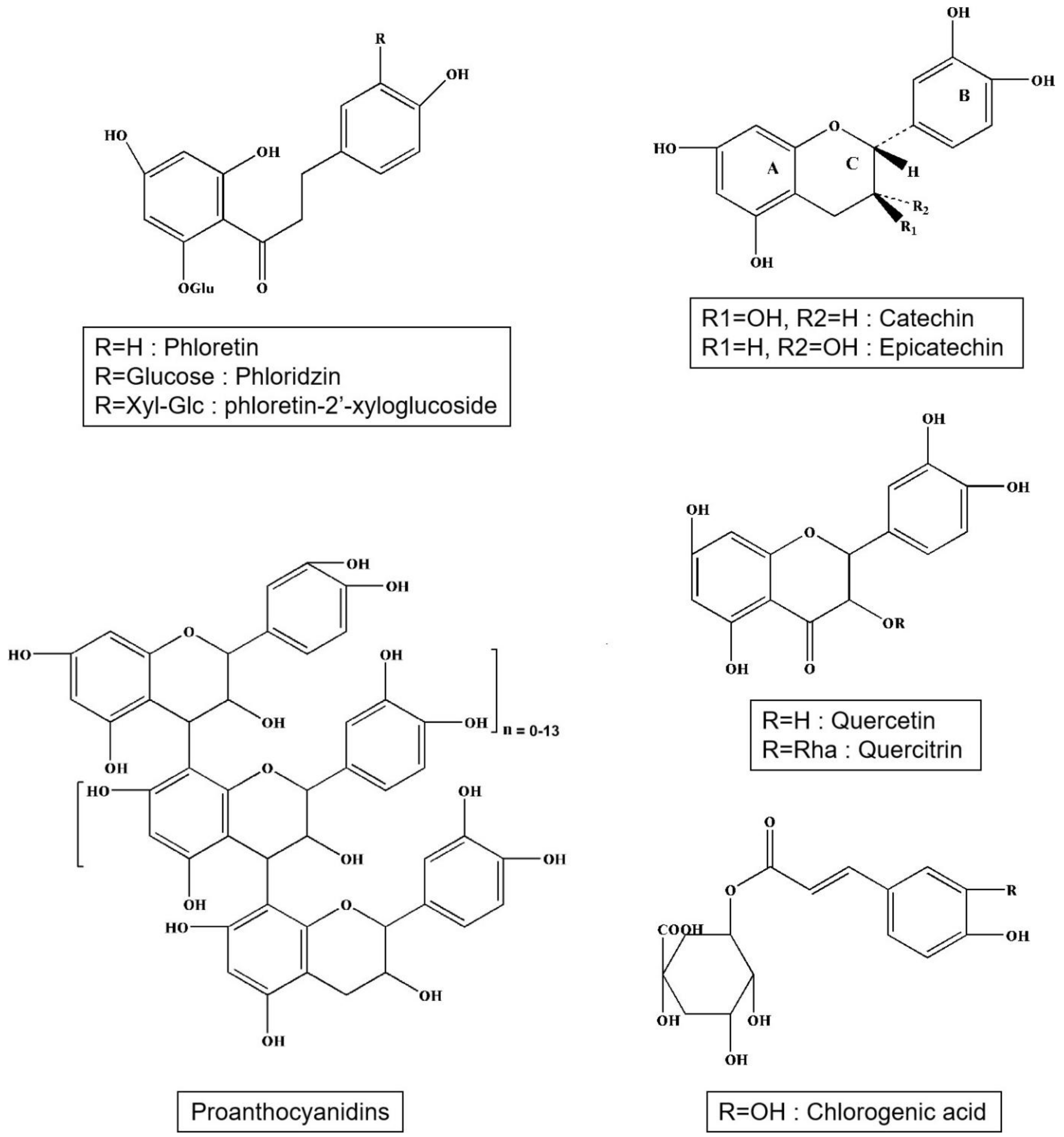 Plants 09 01408 g001 Plants 09 01408 g001