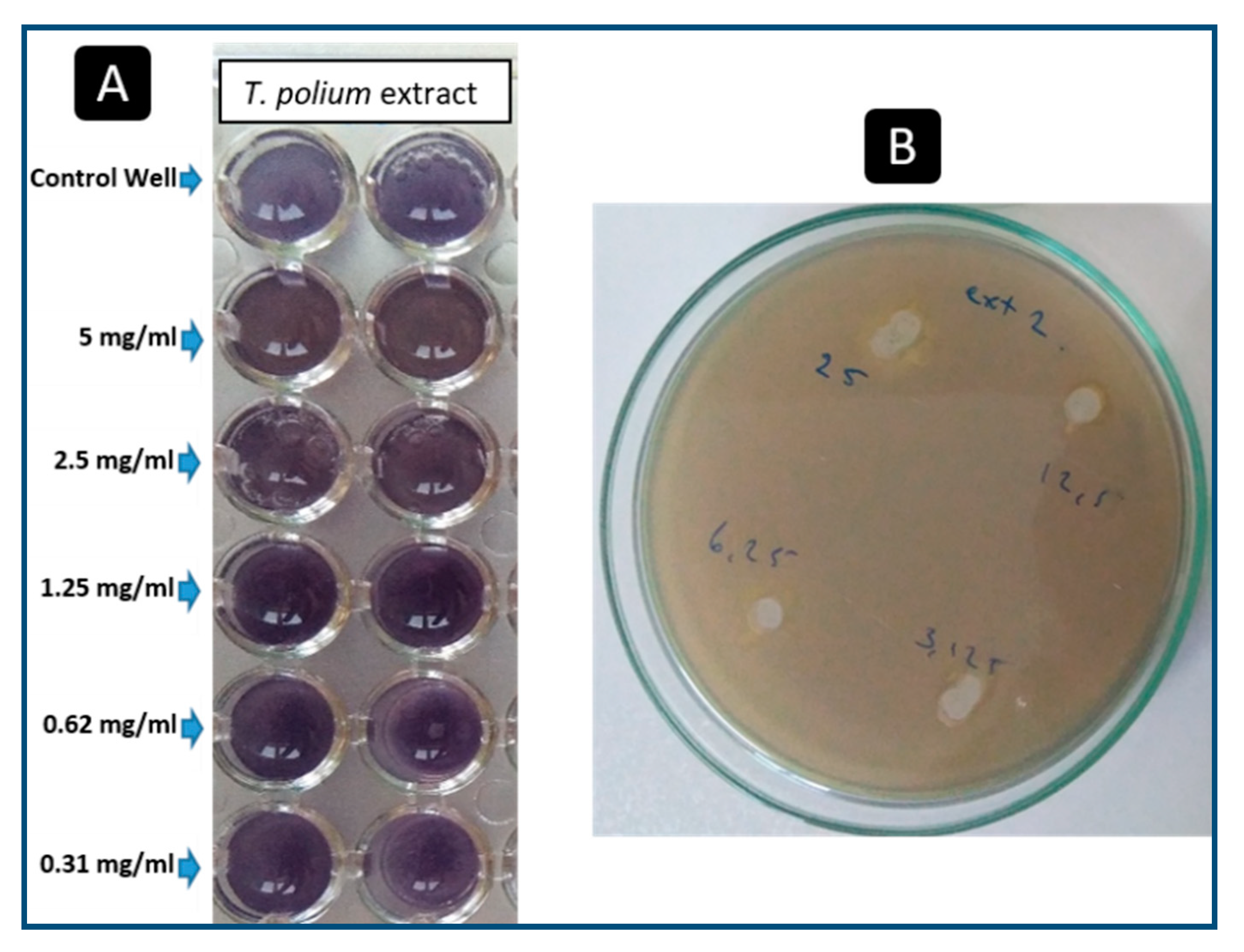 Plants 09 01418 g004