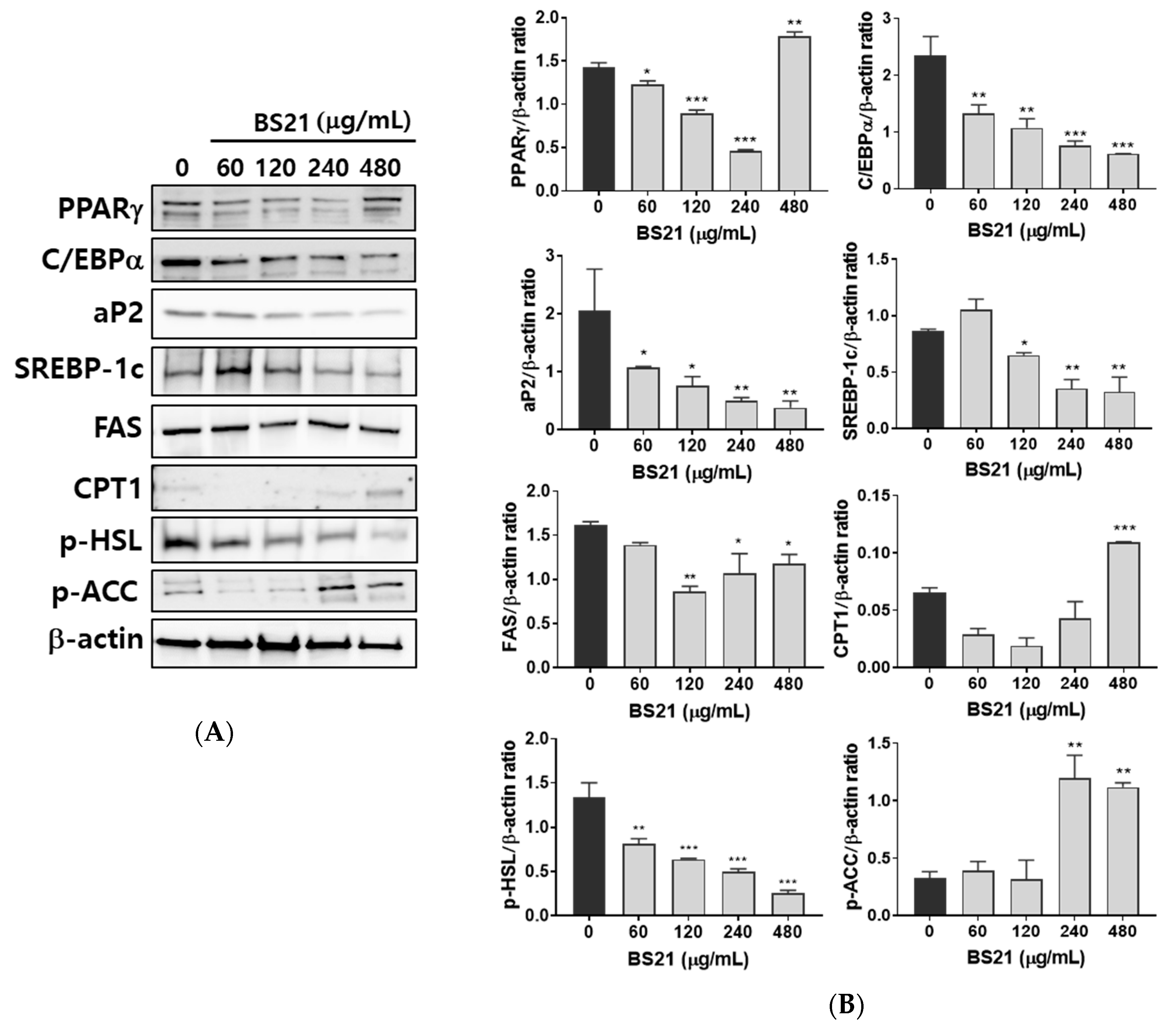 Plants 09 01422 g002