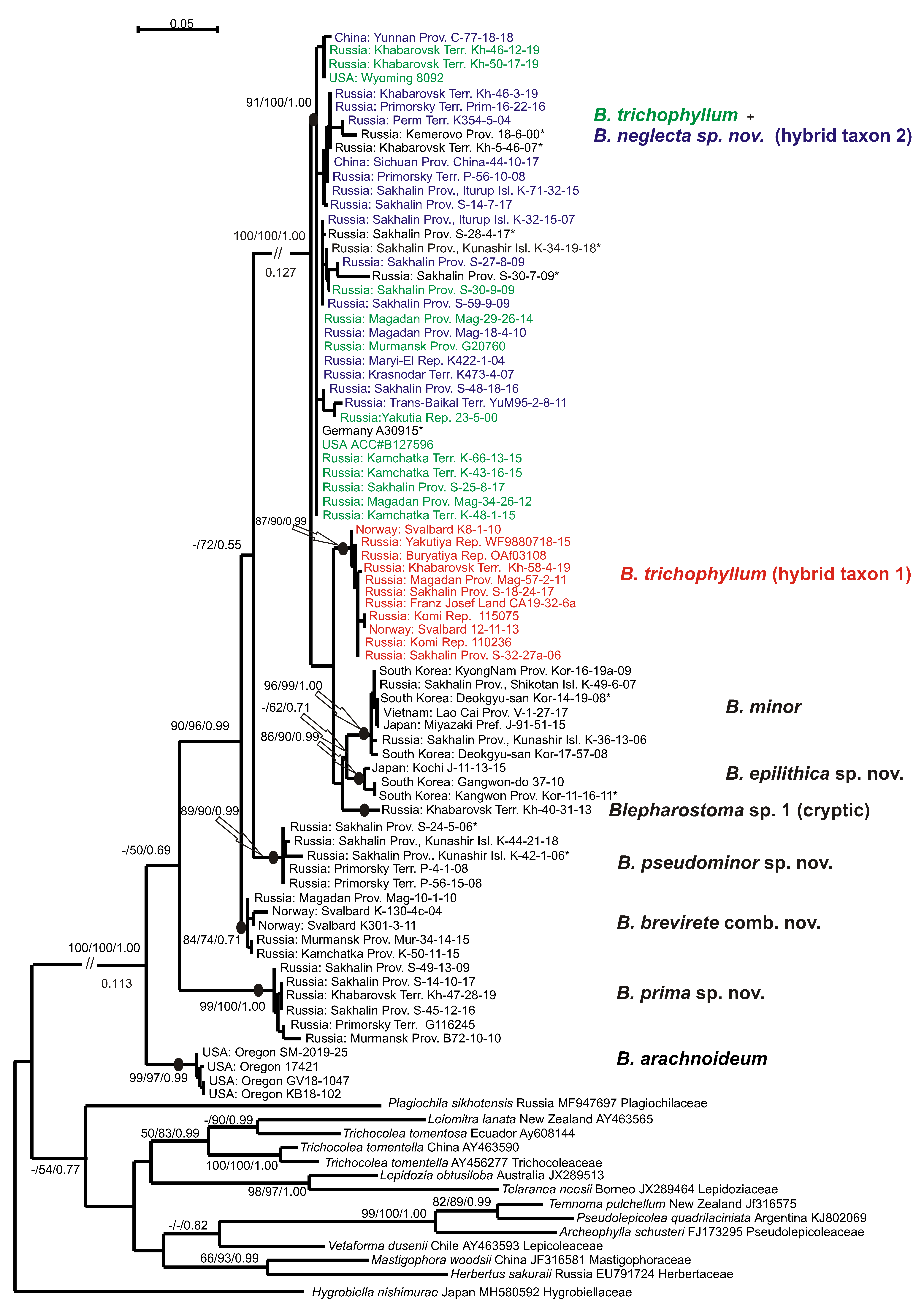 Plants 09 01423 g002
