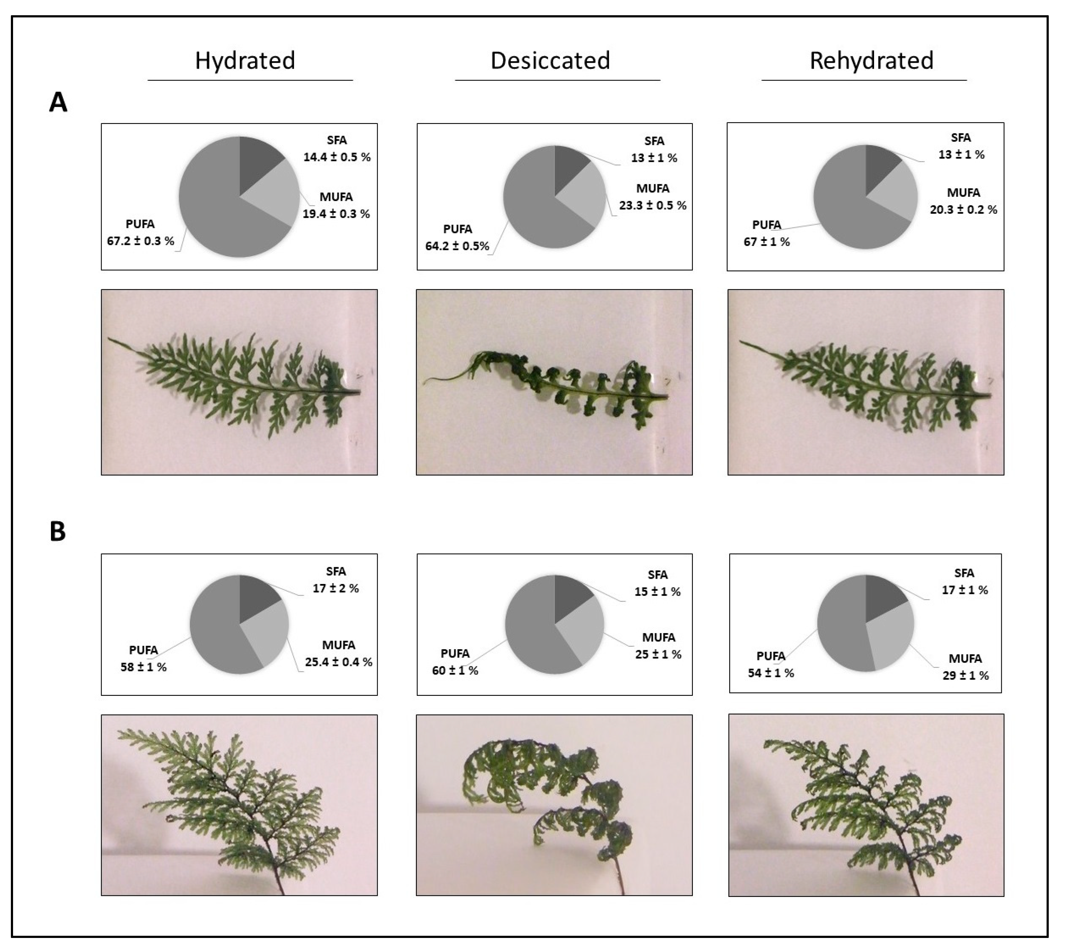 Plants 09 01431 g001