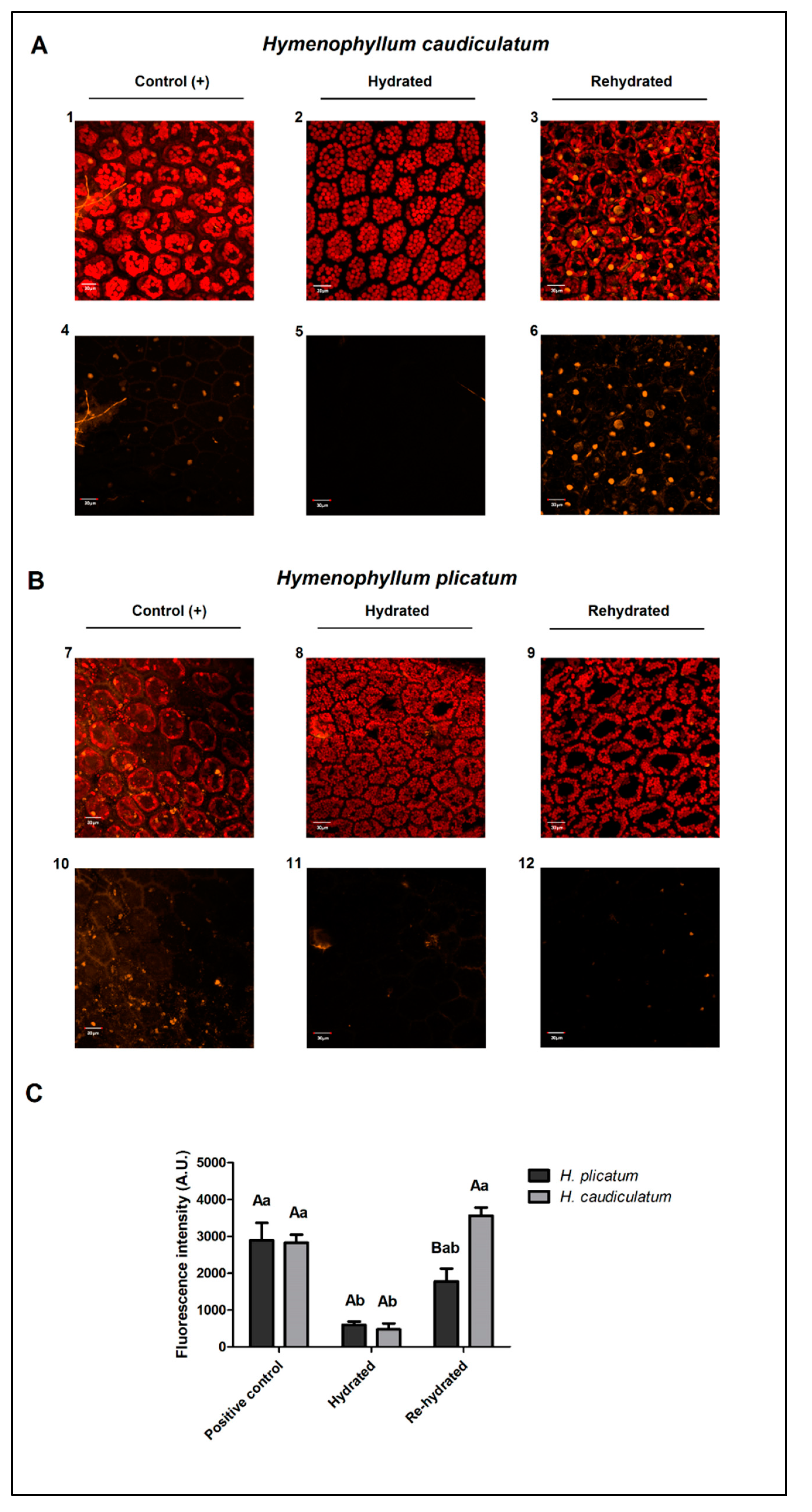 Plants 09 01431 g002
