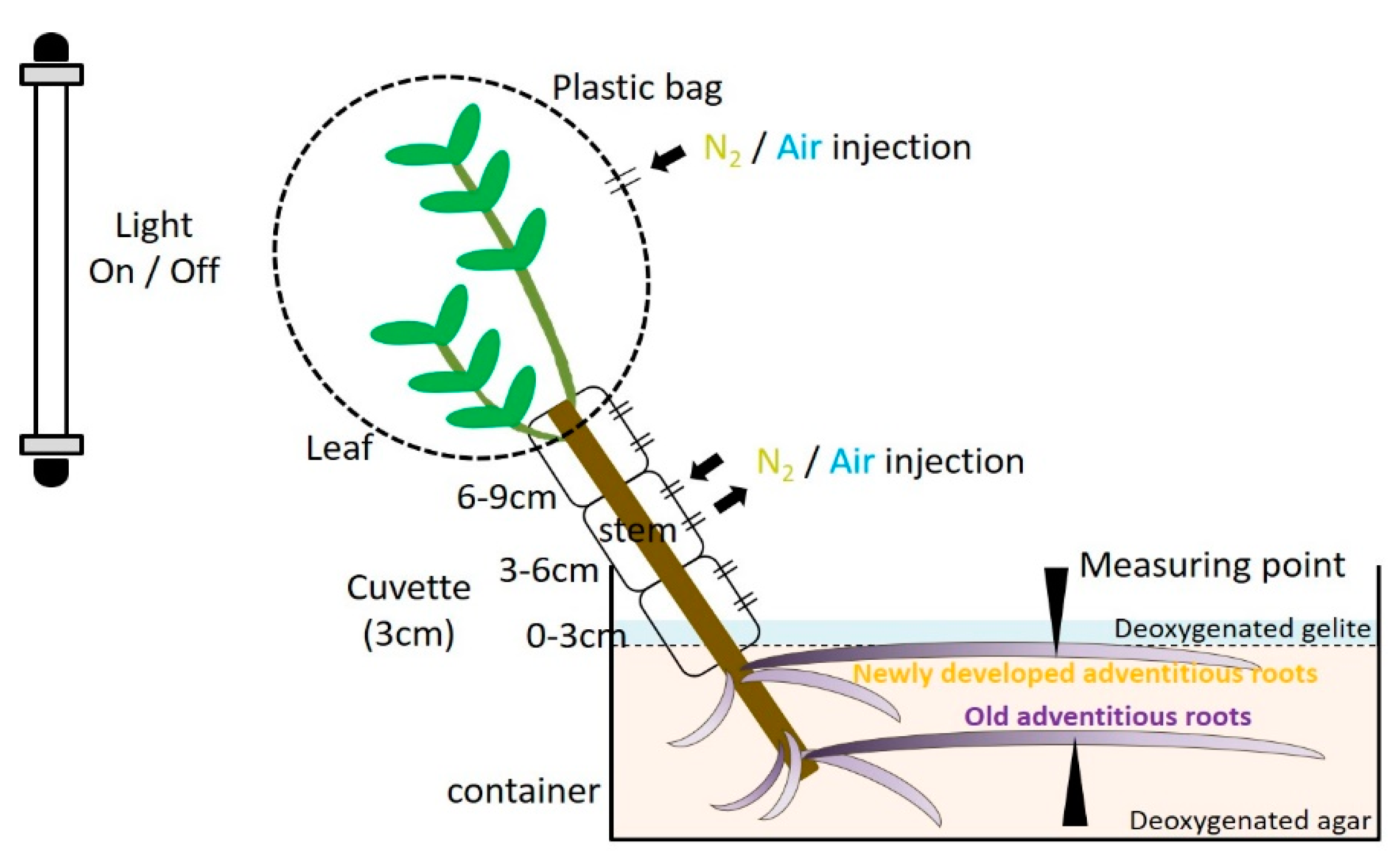 Plants 09 01433 g001 Plants 09 01433 g001