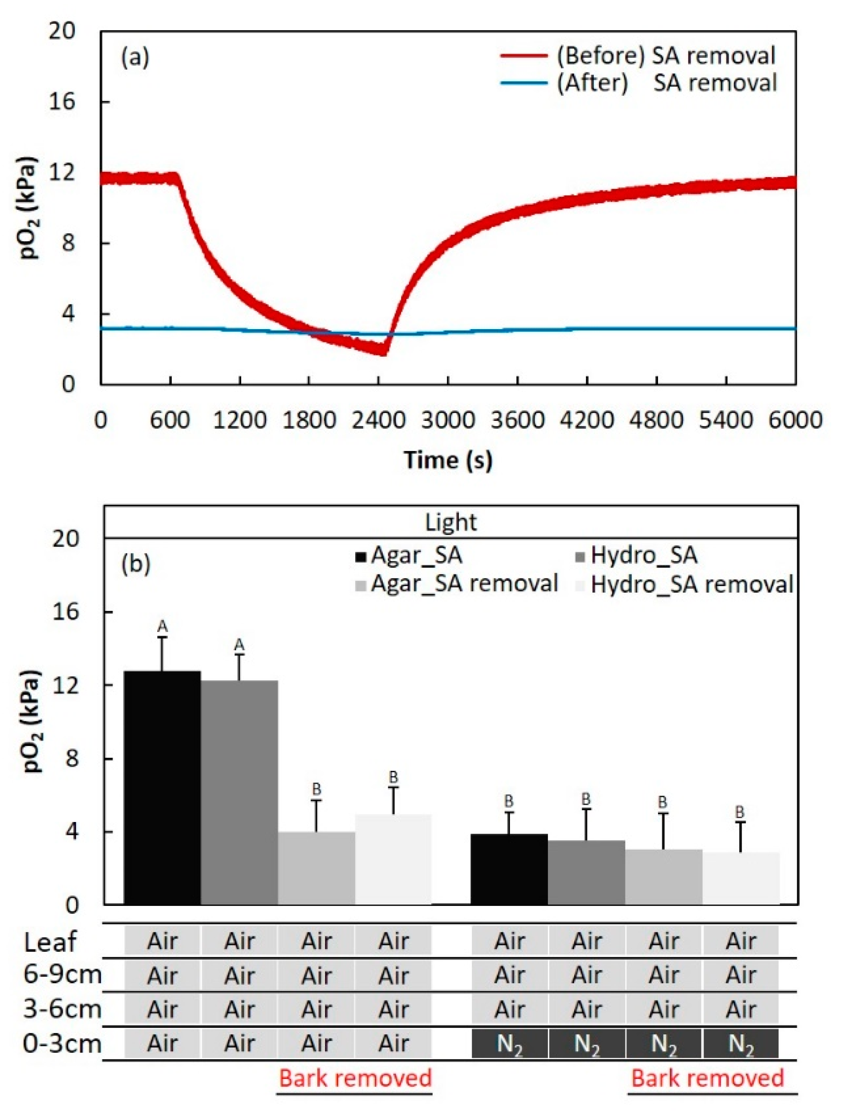 Plants 09 01433 g005 Plants 09 01433 g005