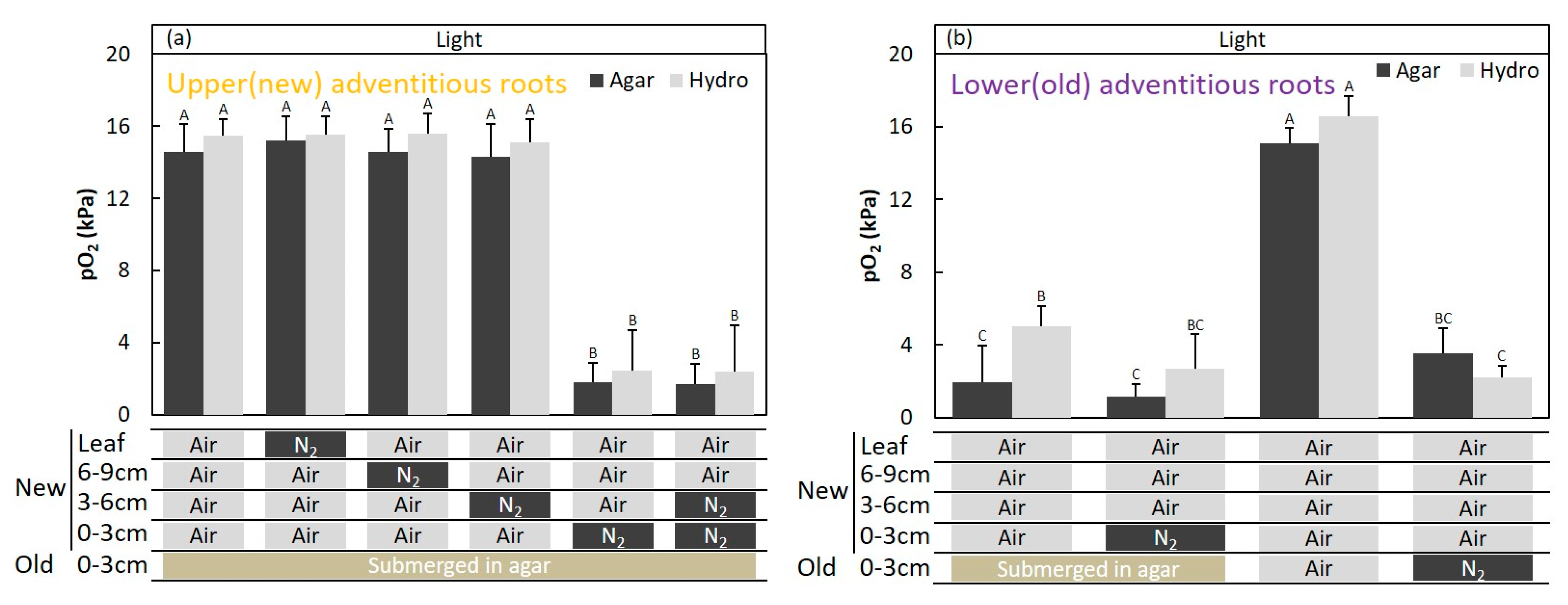 Plants 09 01433 g010 Plants 09 01433 g010