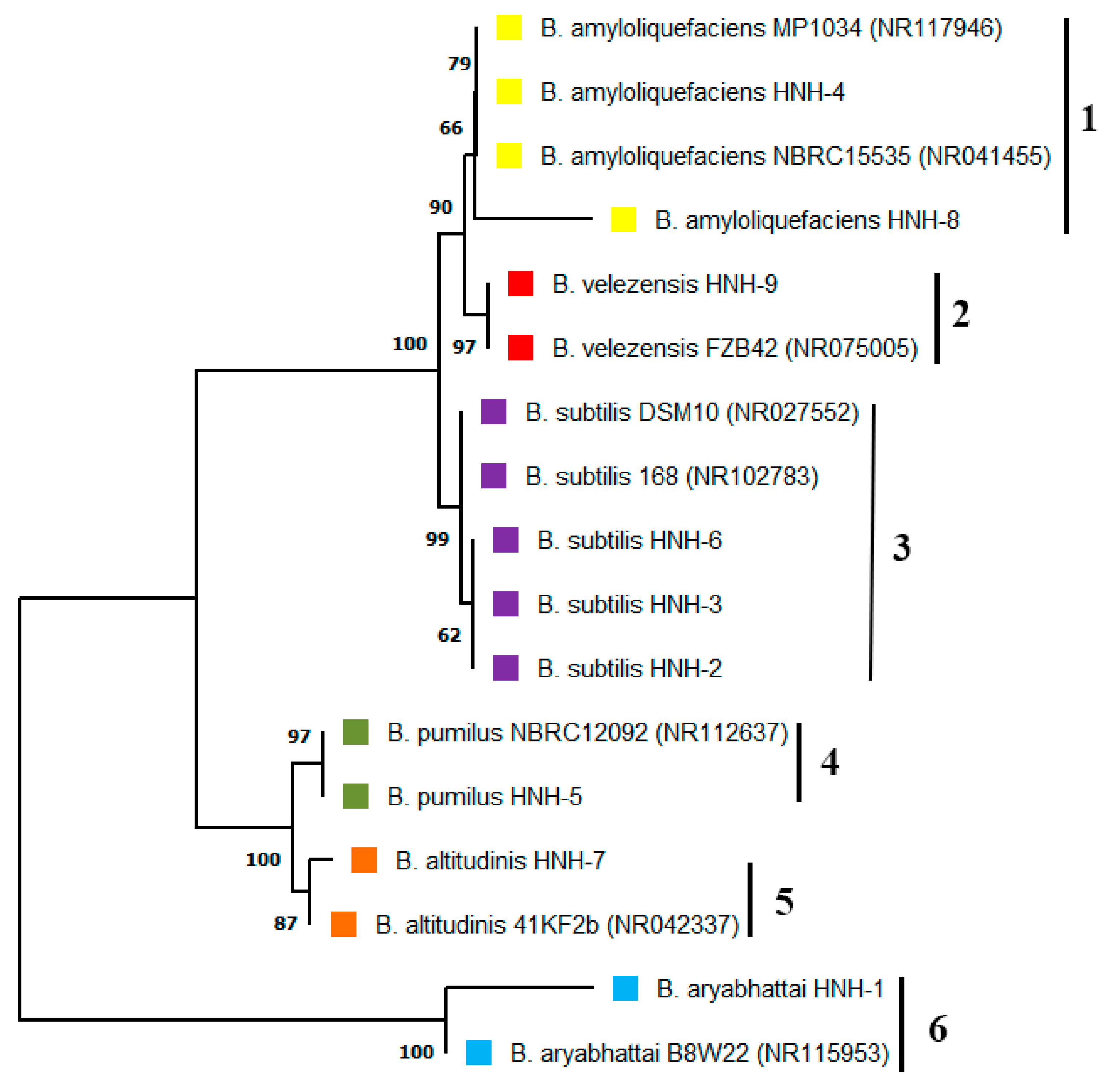 Plants 09 01438 g001