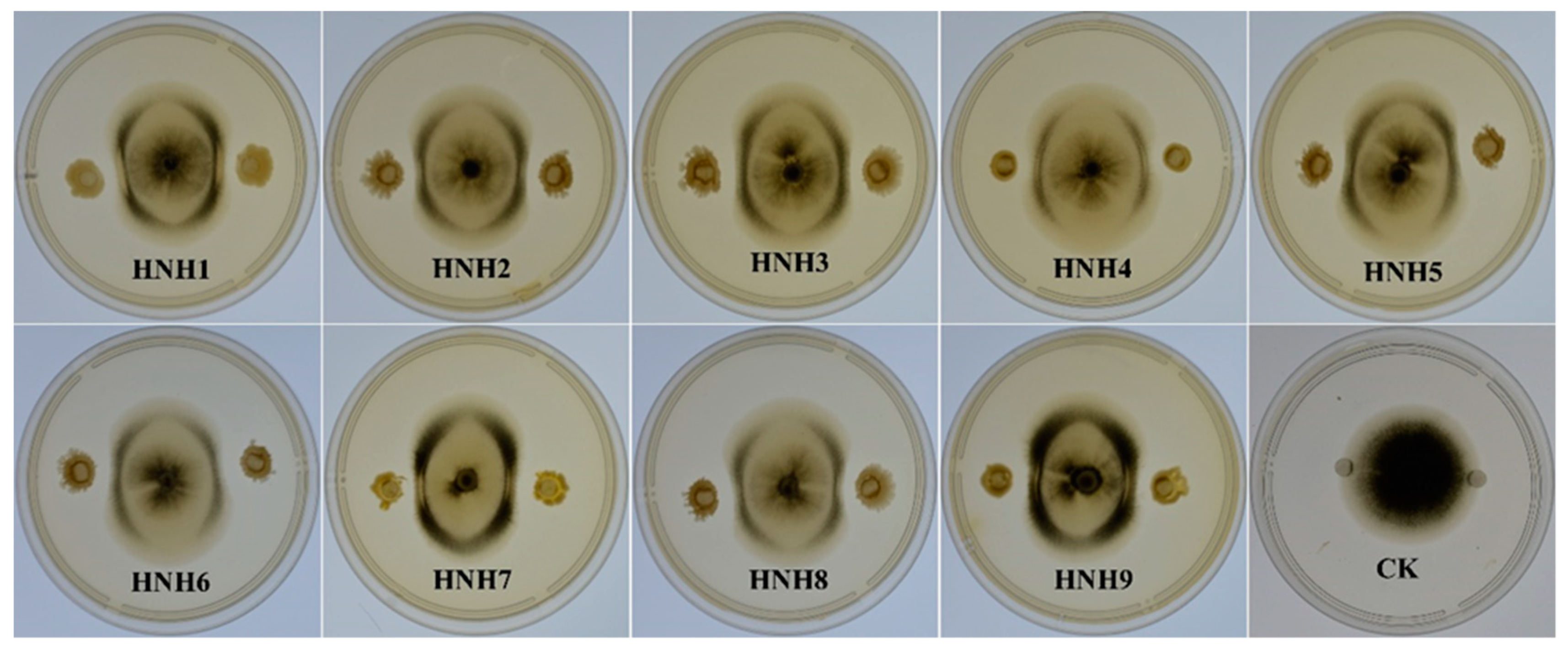 Plants 09 01438 g002