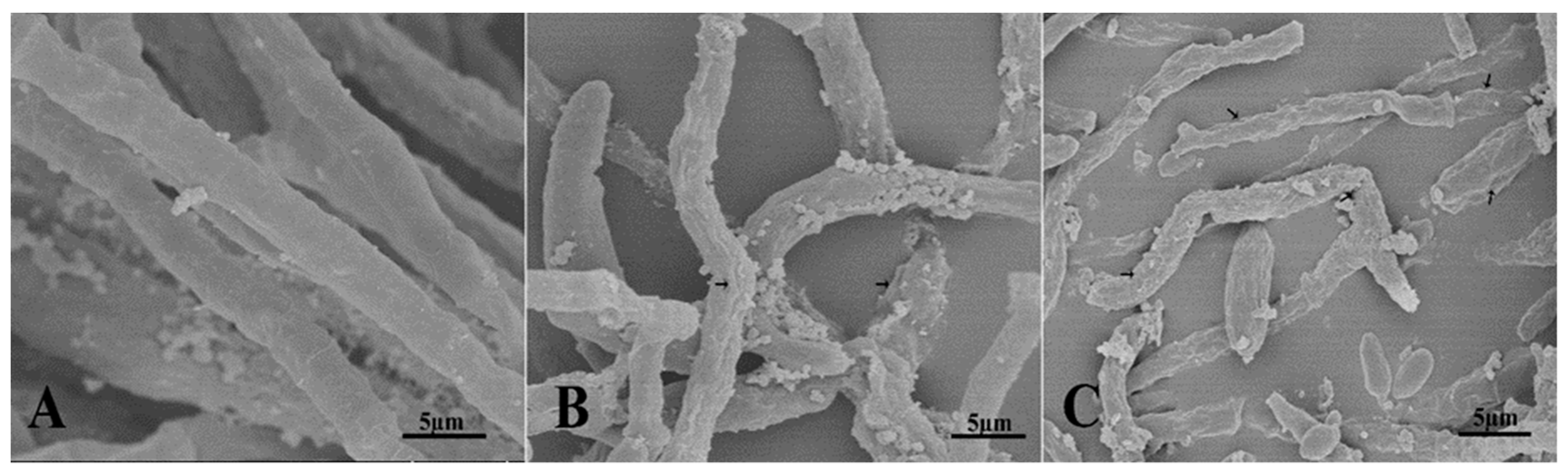 Plants 09 01438 g007