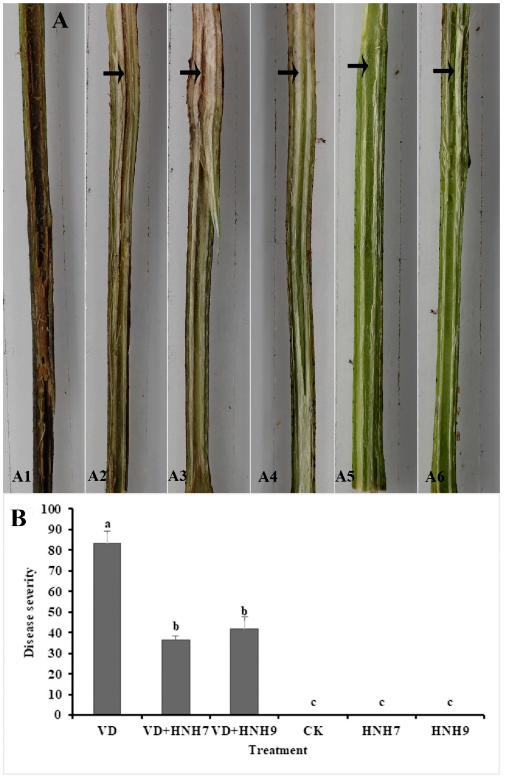 Plants 09 01438 g008