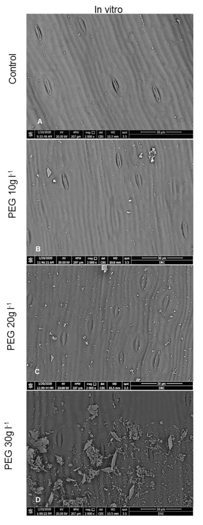 Plants 09 01440 g002a