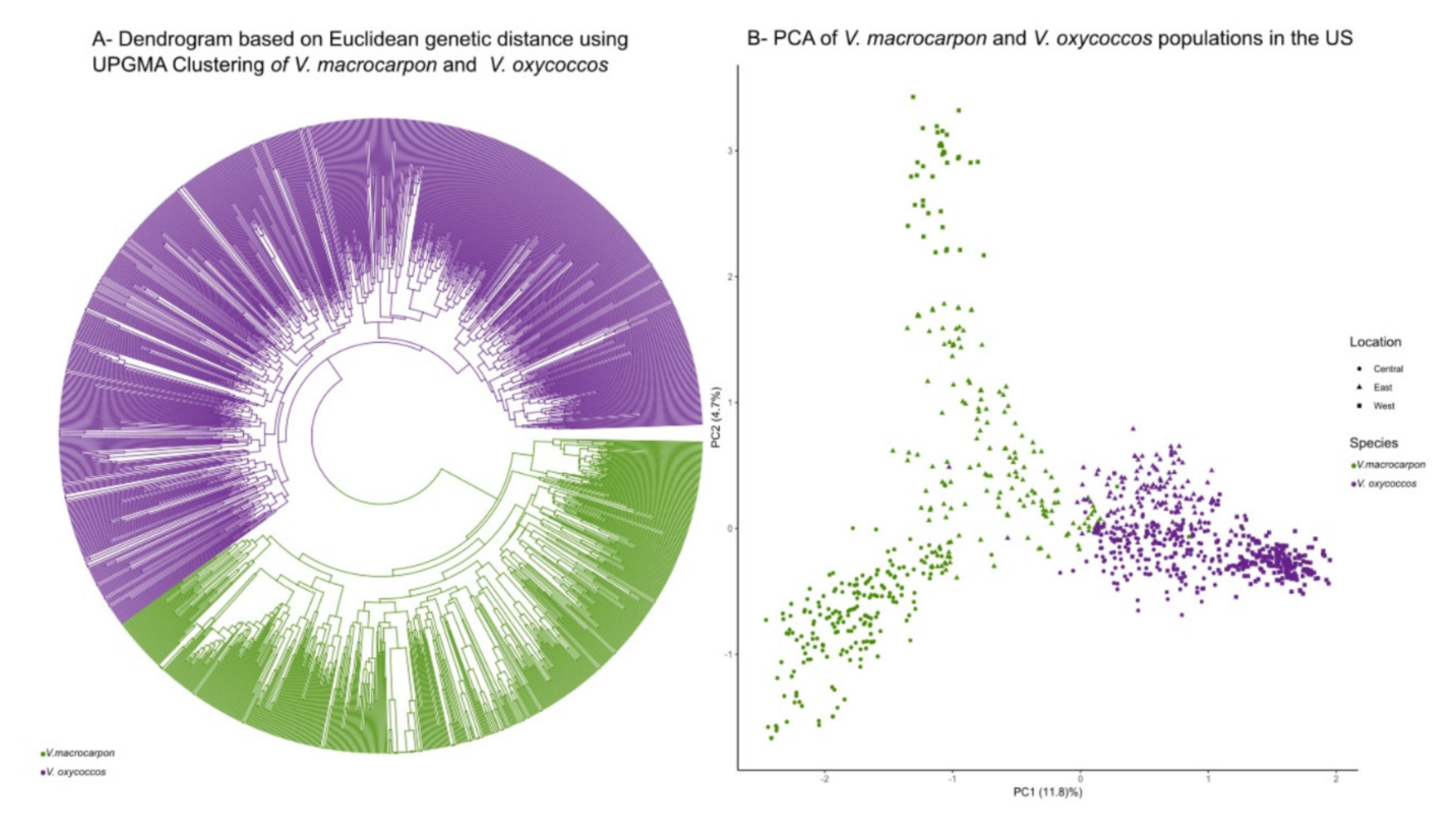 Plants 09 01446 g002