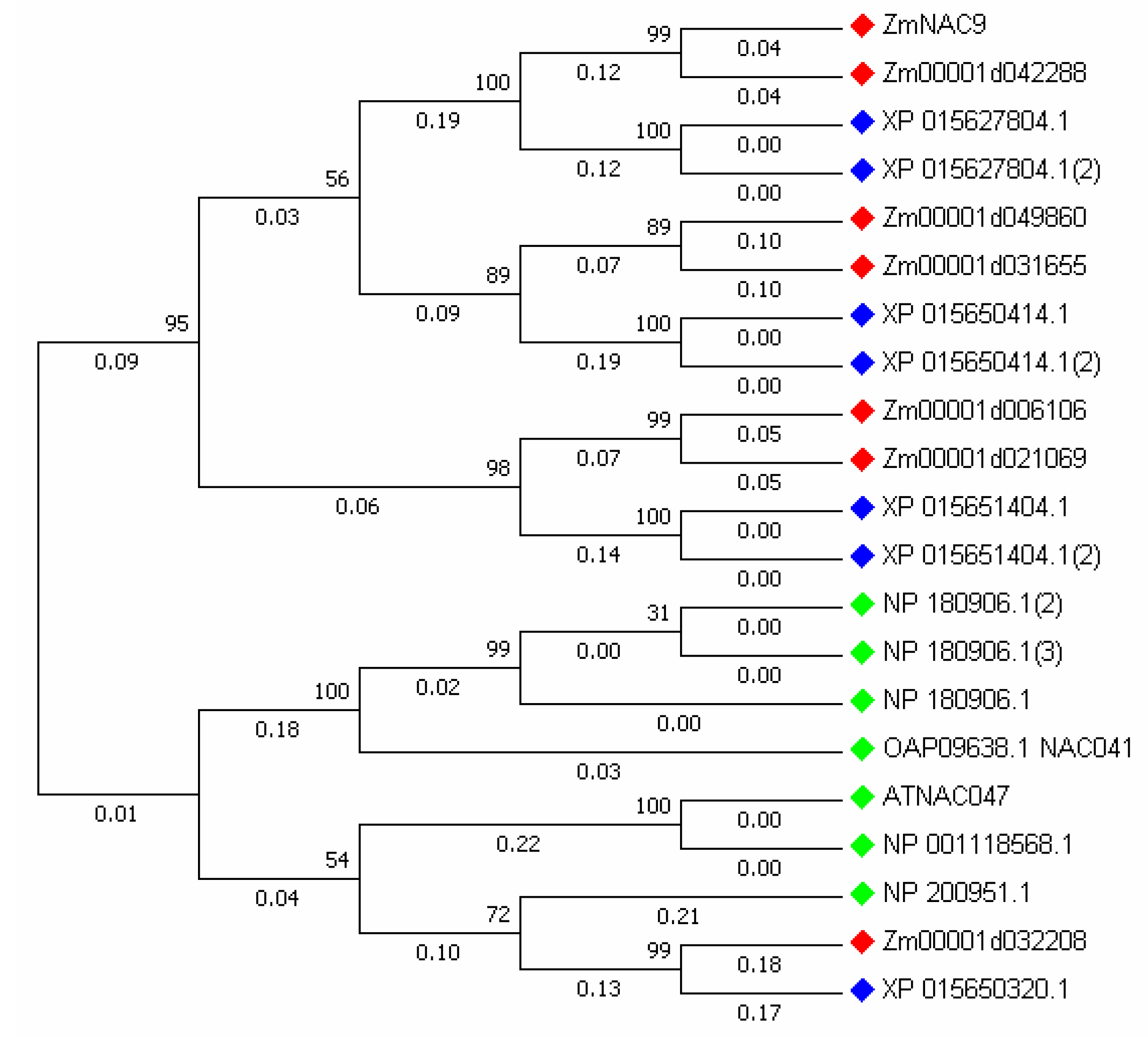 Plants 09 01447 g001