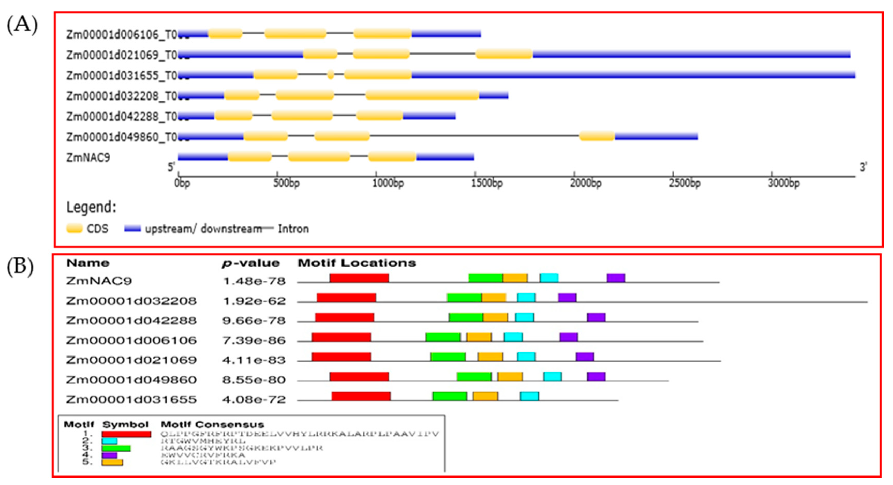 Plants 09 01447 g002