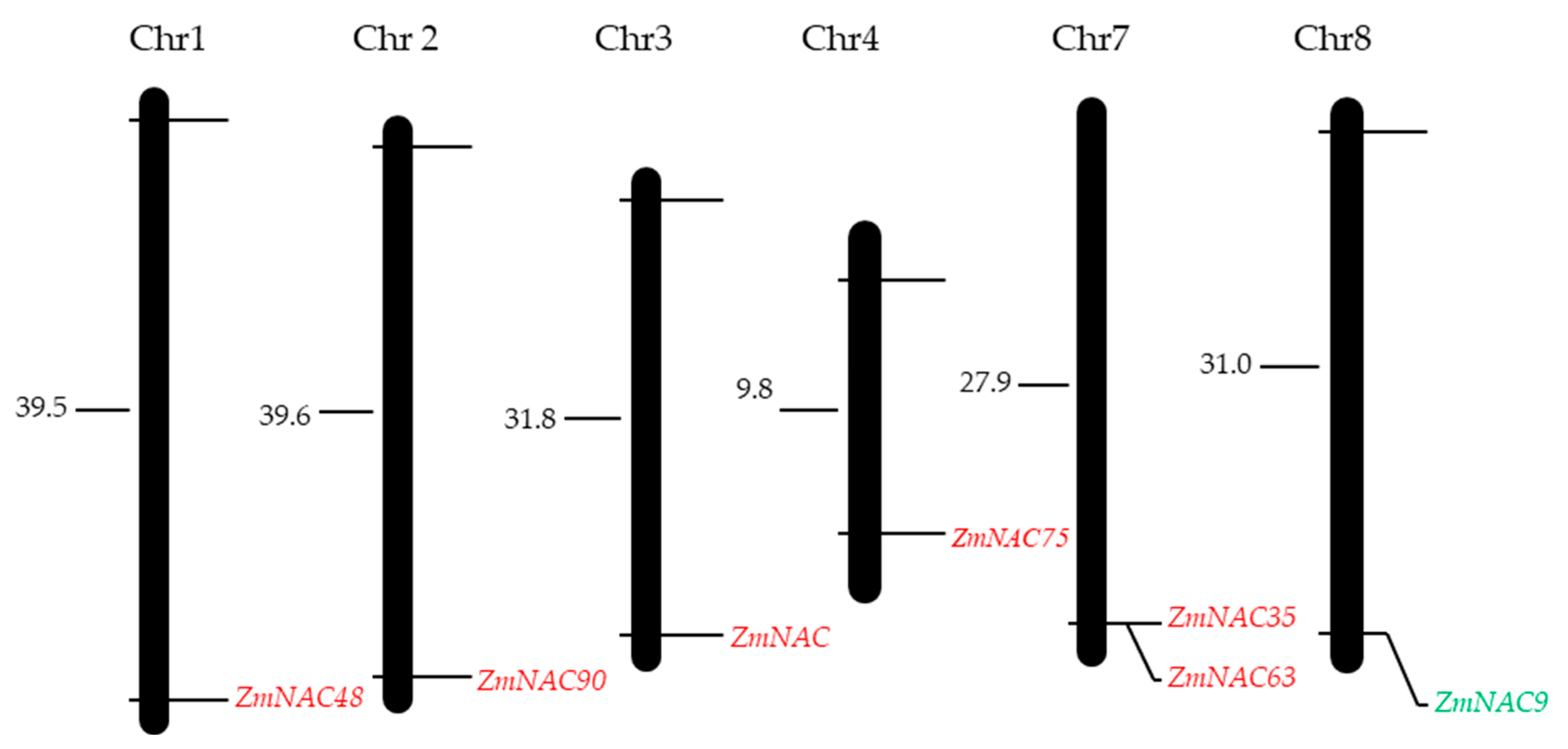 Plants 09 01447 g003