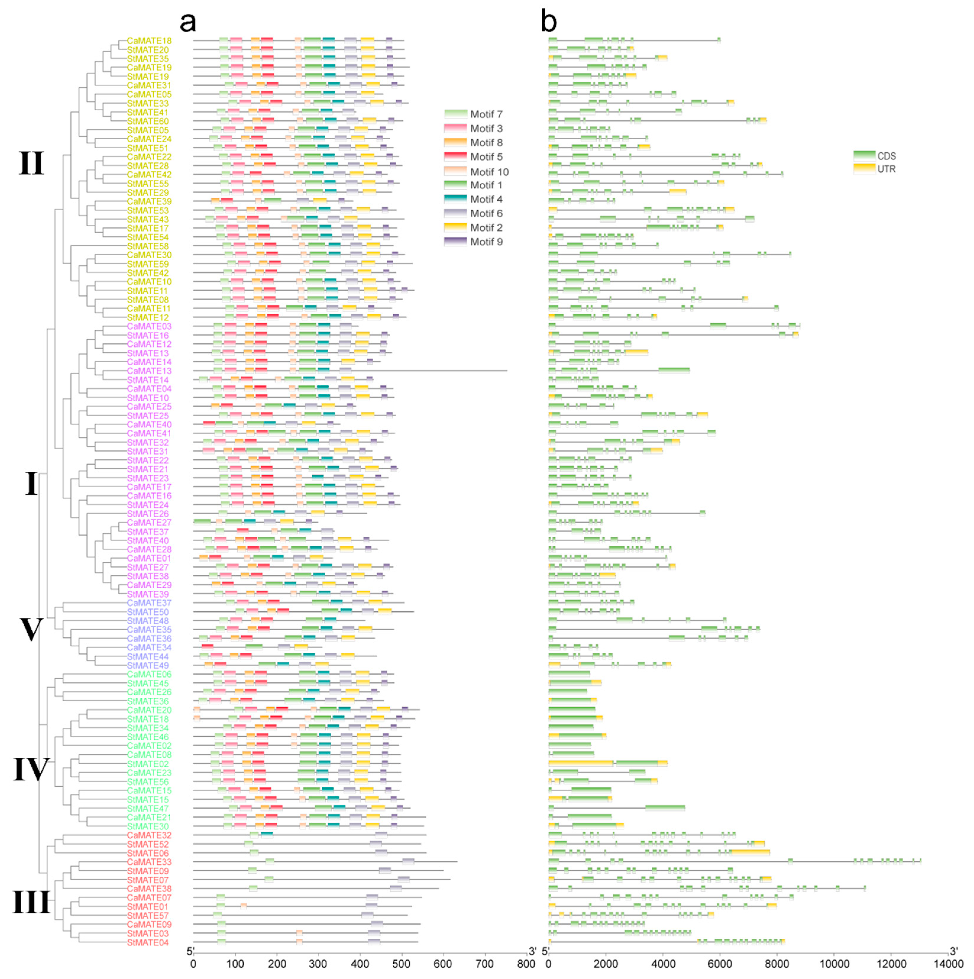 Plants 09 01448 g002 Plants 09 01448 g002