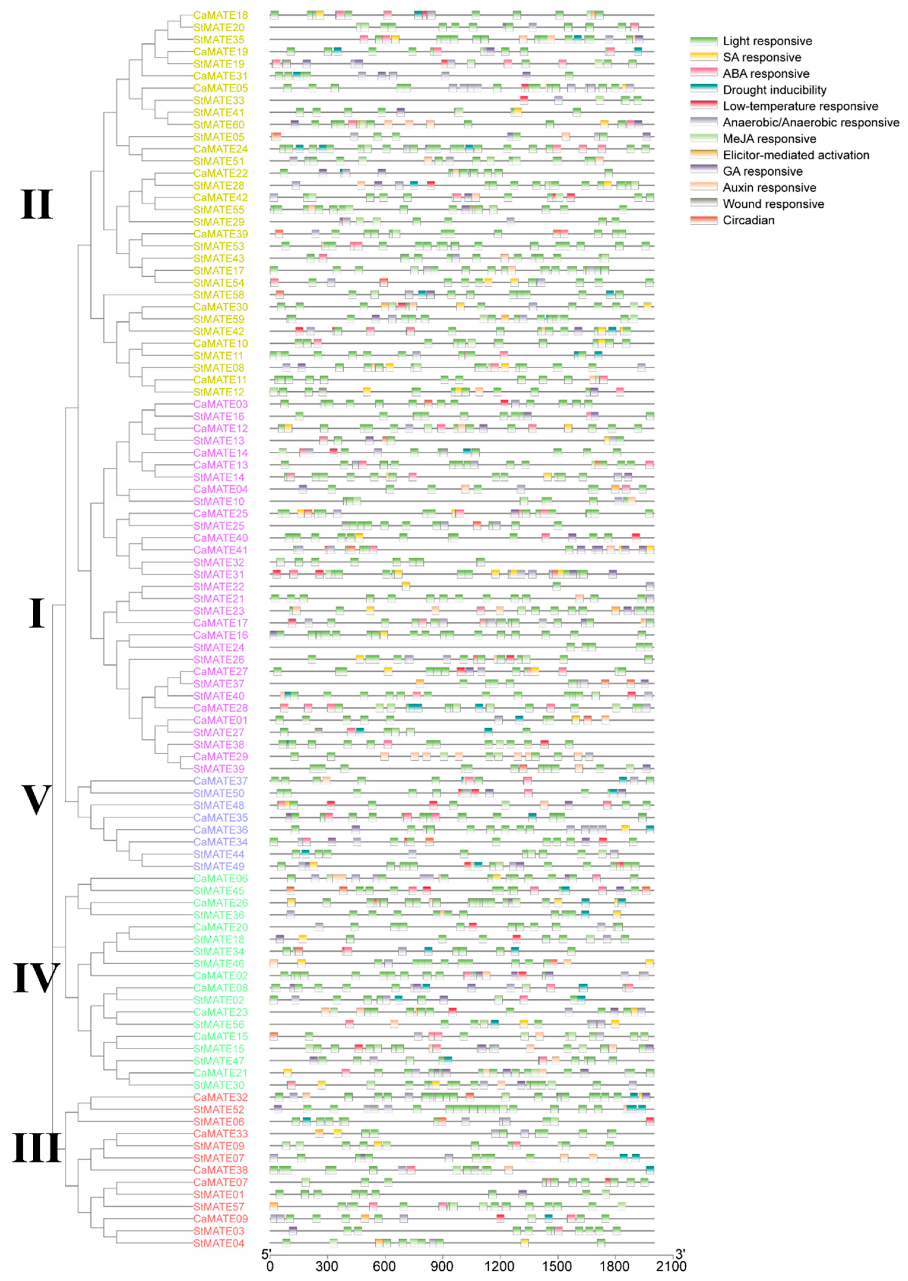 Plants 09 01448 g005 Plants 09 01448 g005