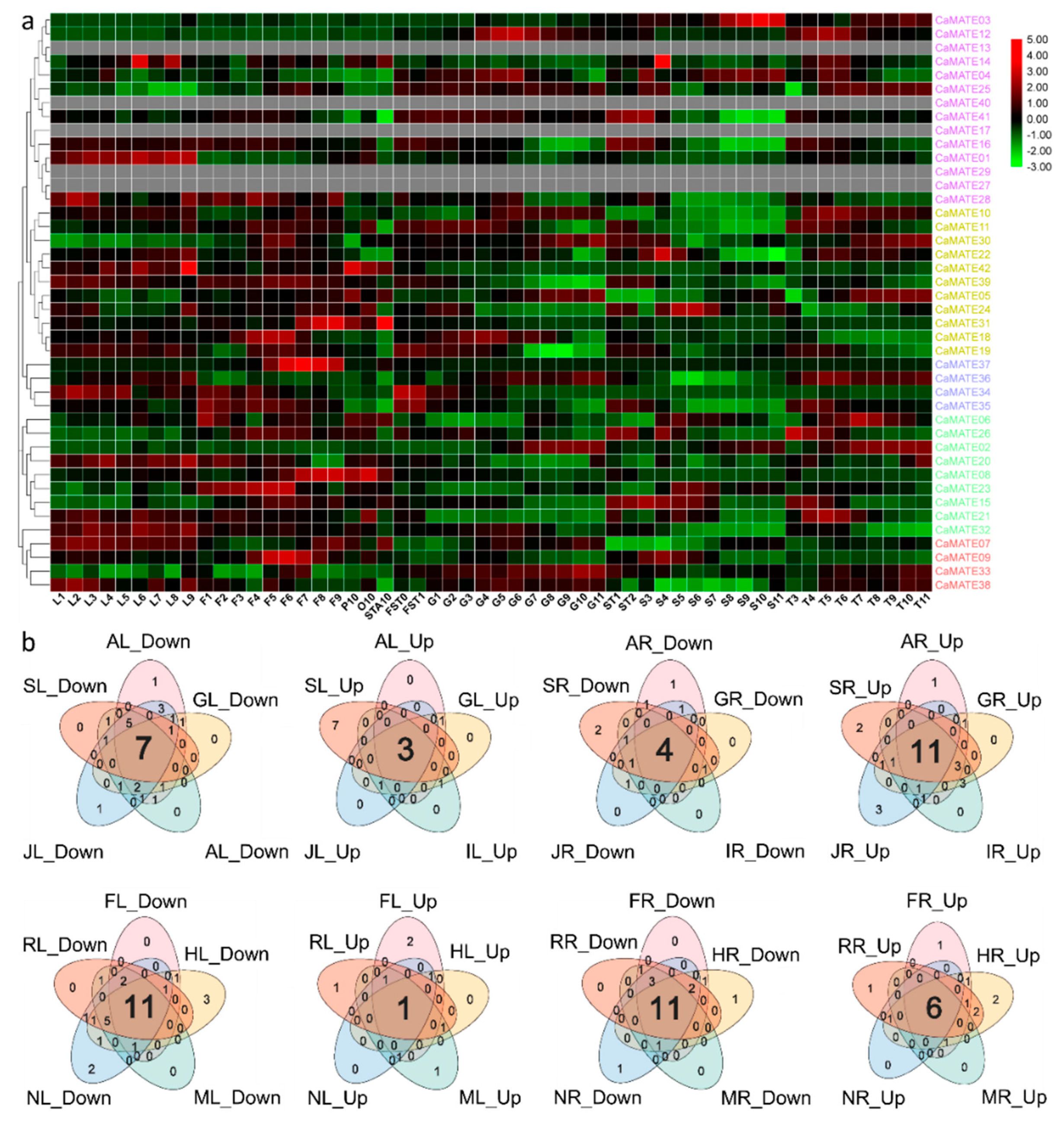Plants 09 01448 g006 Plants 09 01448 g006